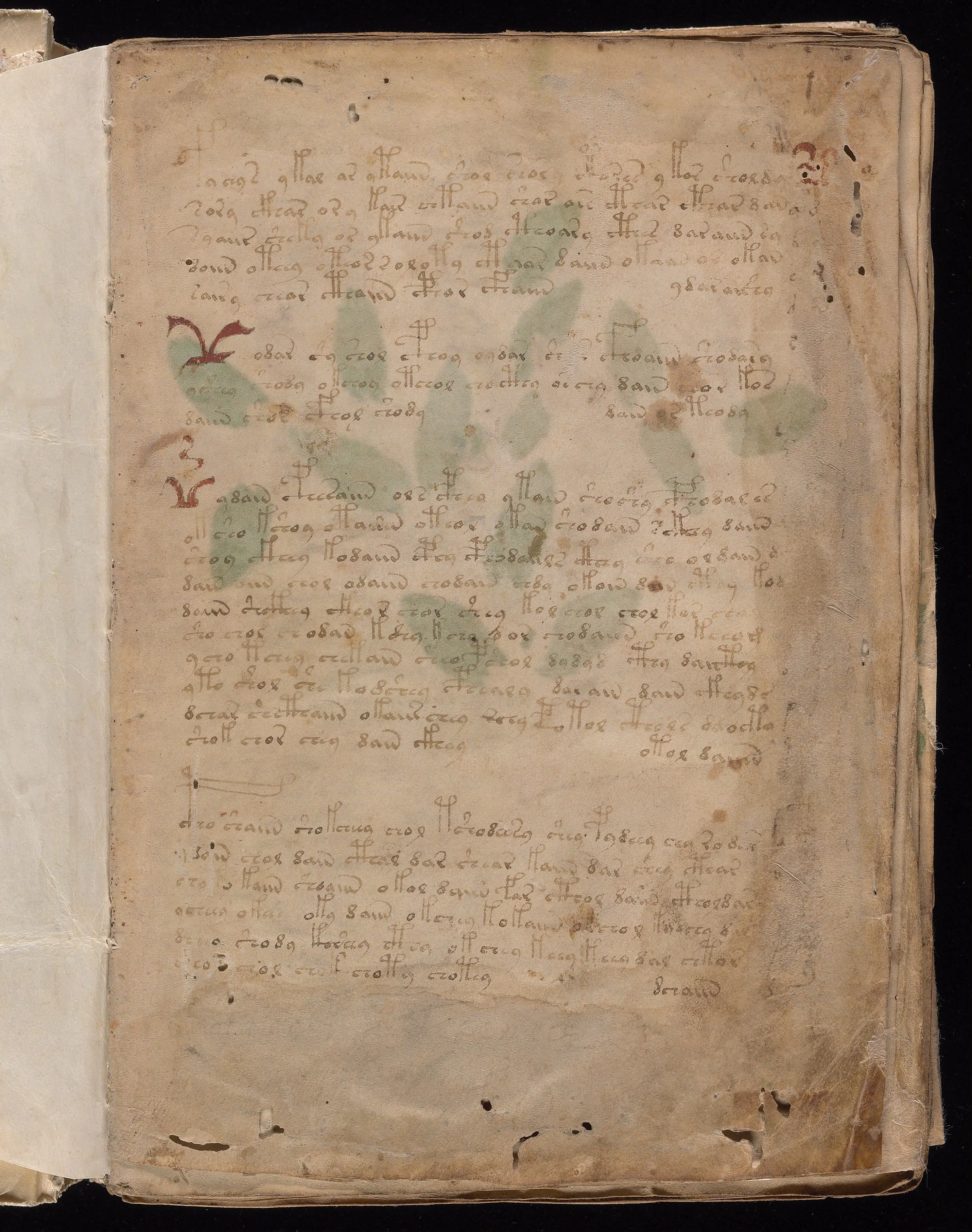 Folio f1r