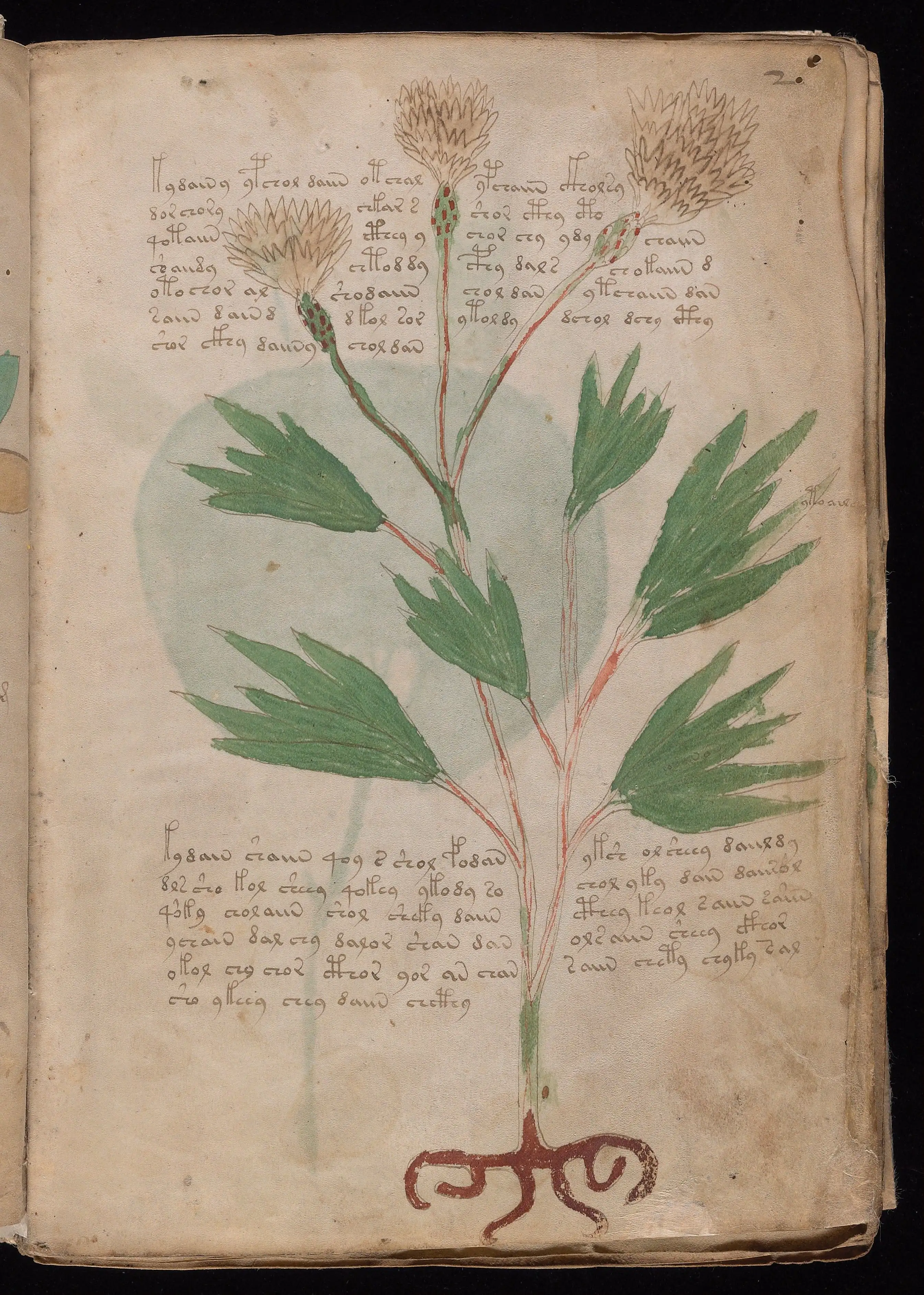 Folio f2r