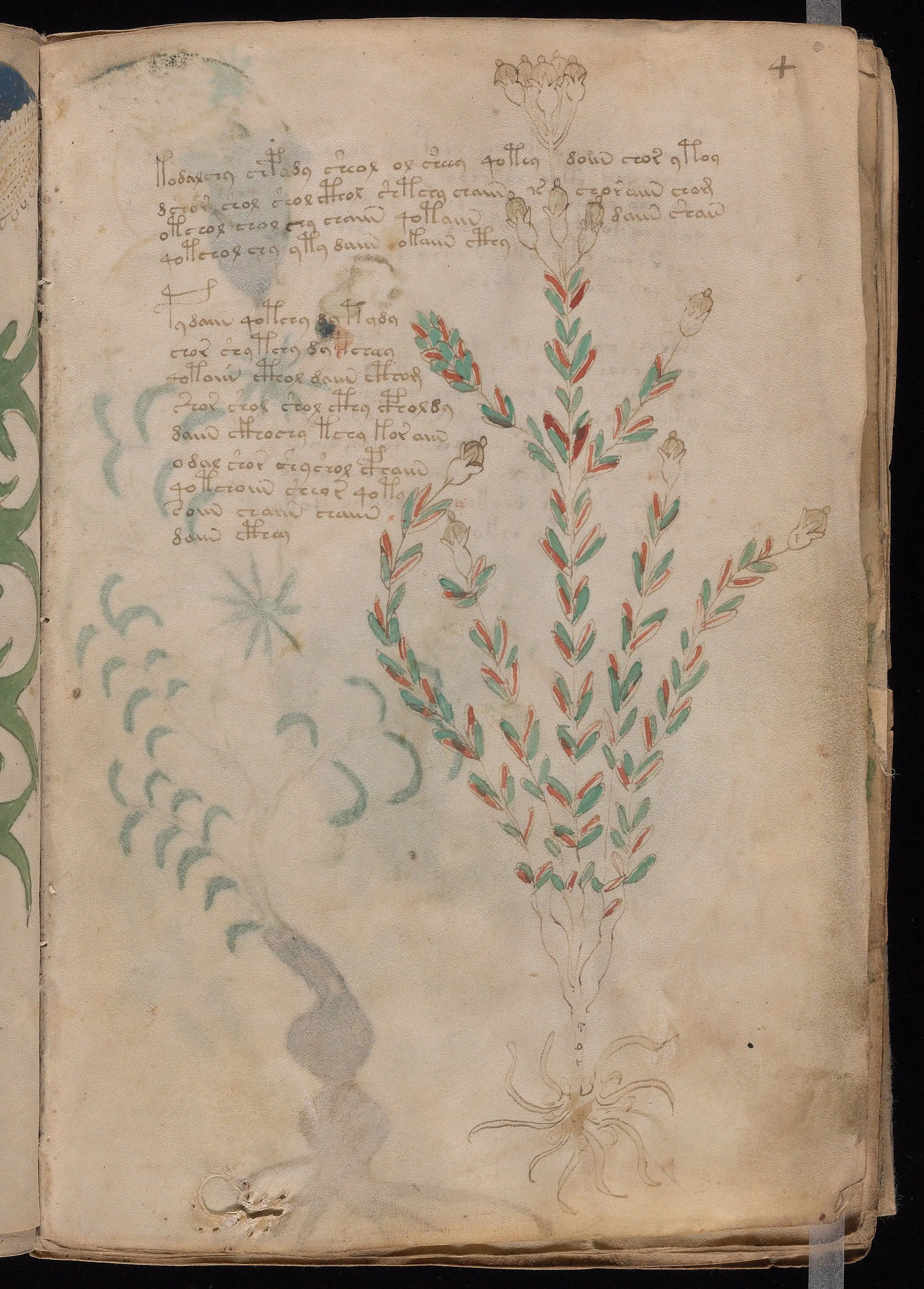 Folio f4r