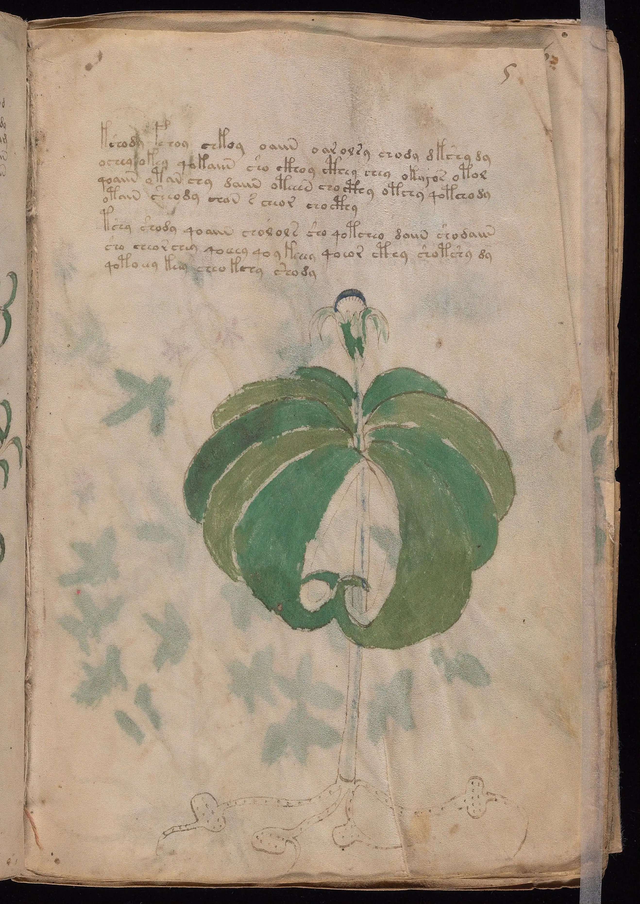 Folio f5r