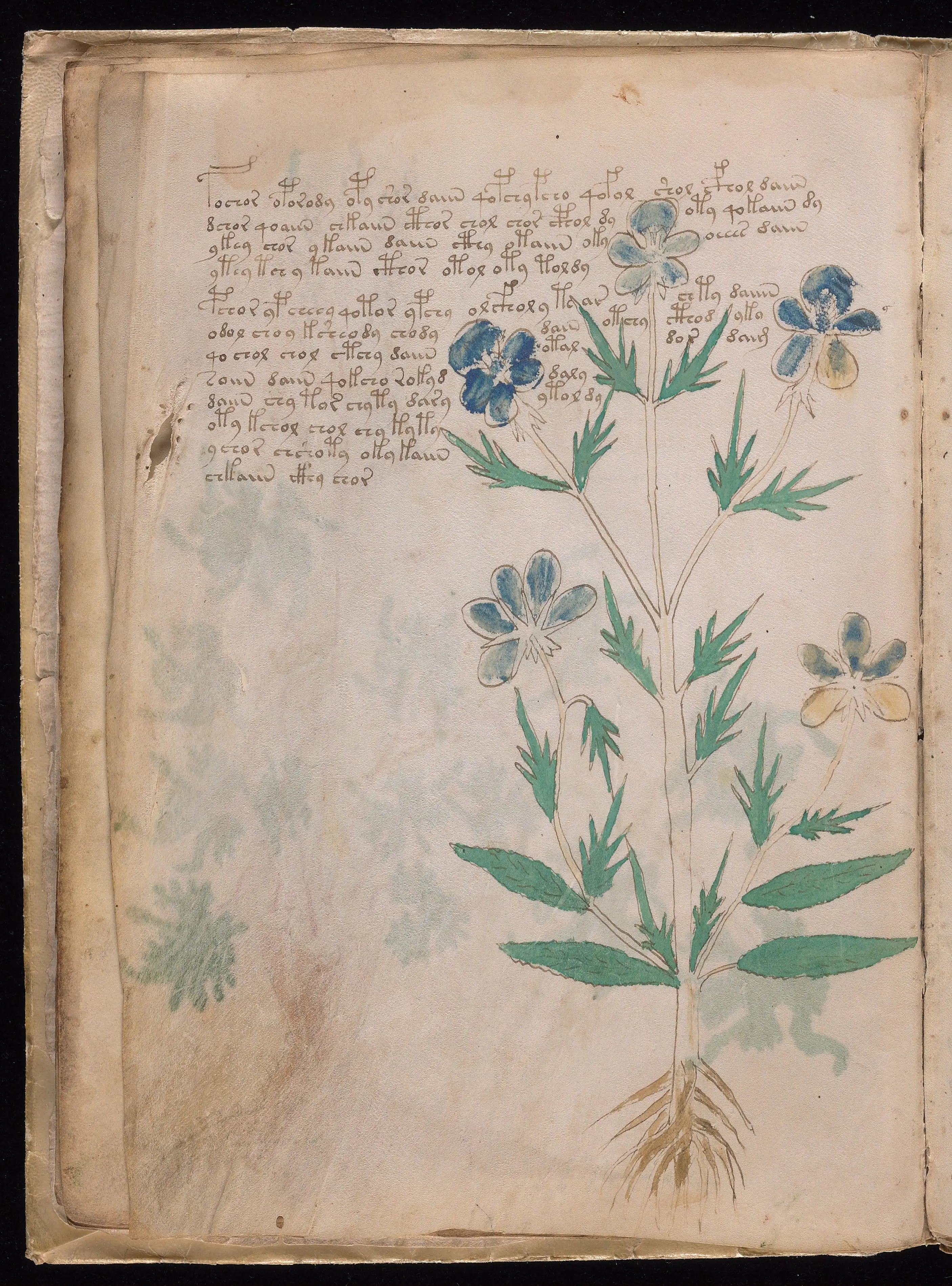 Folio f9v