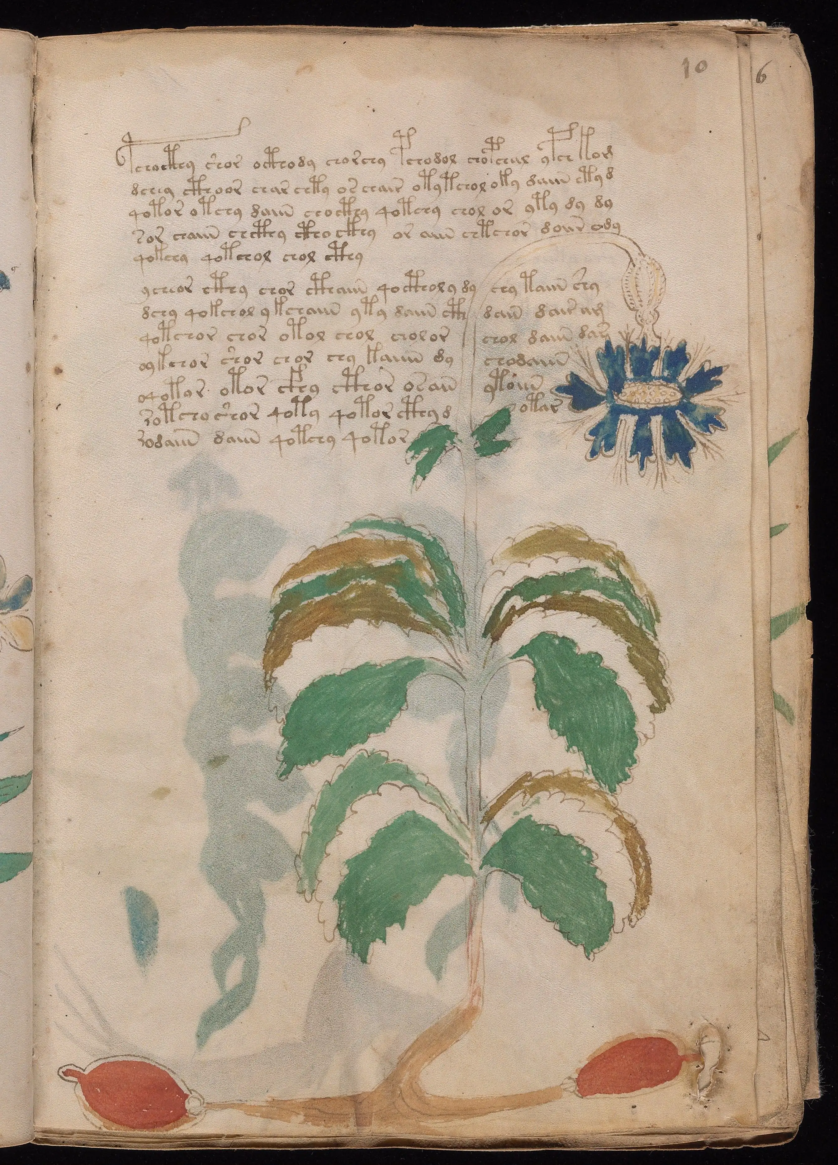Folio f10r