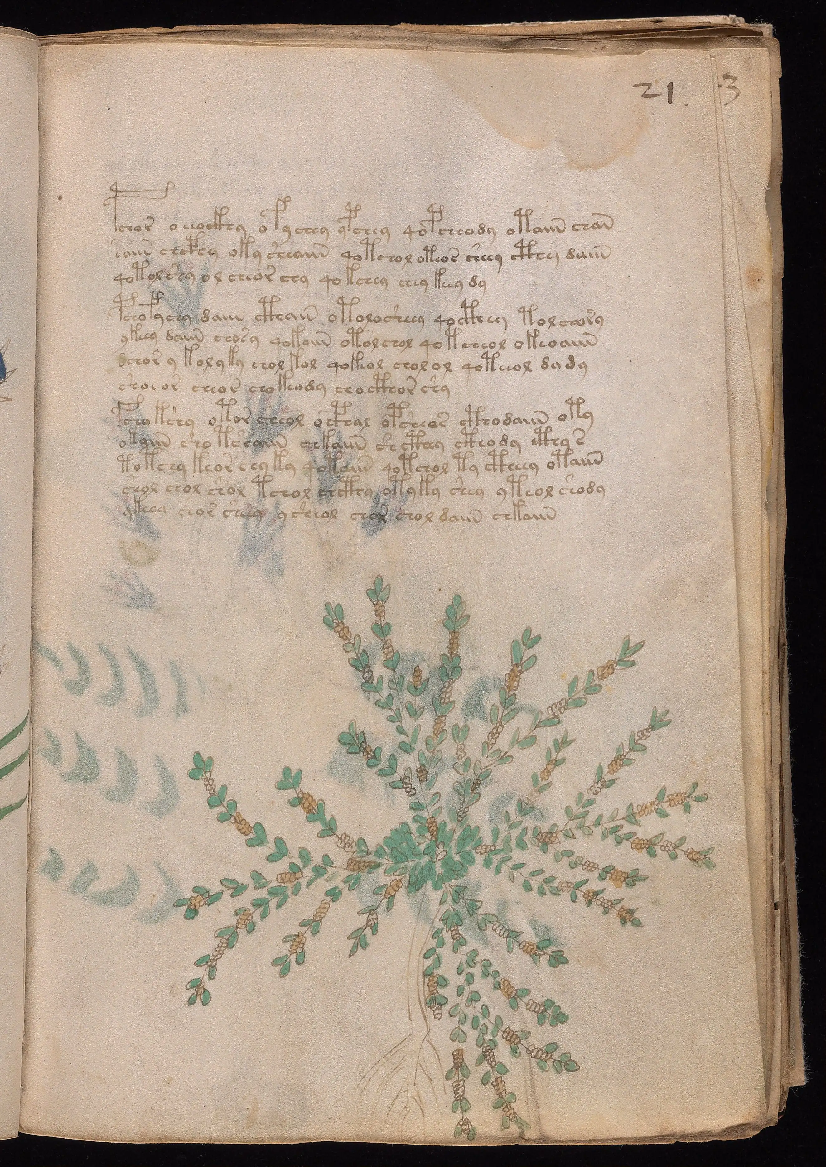 Folio f21r