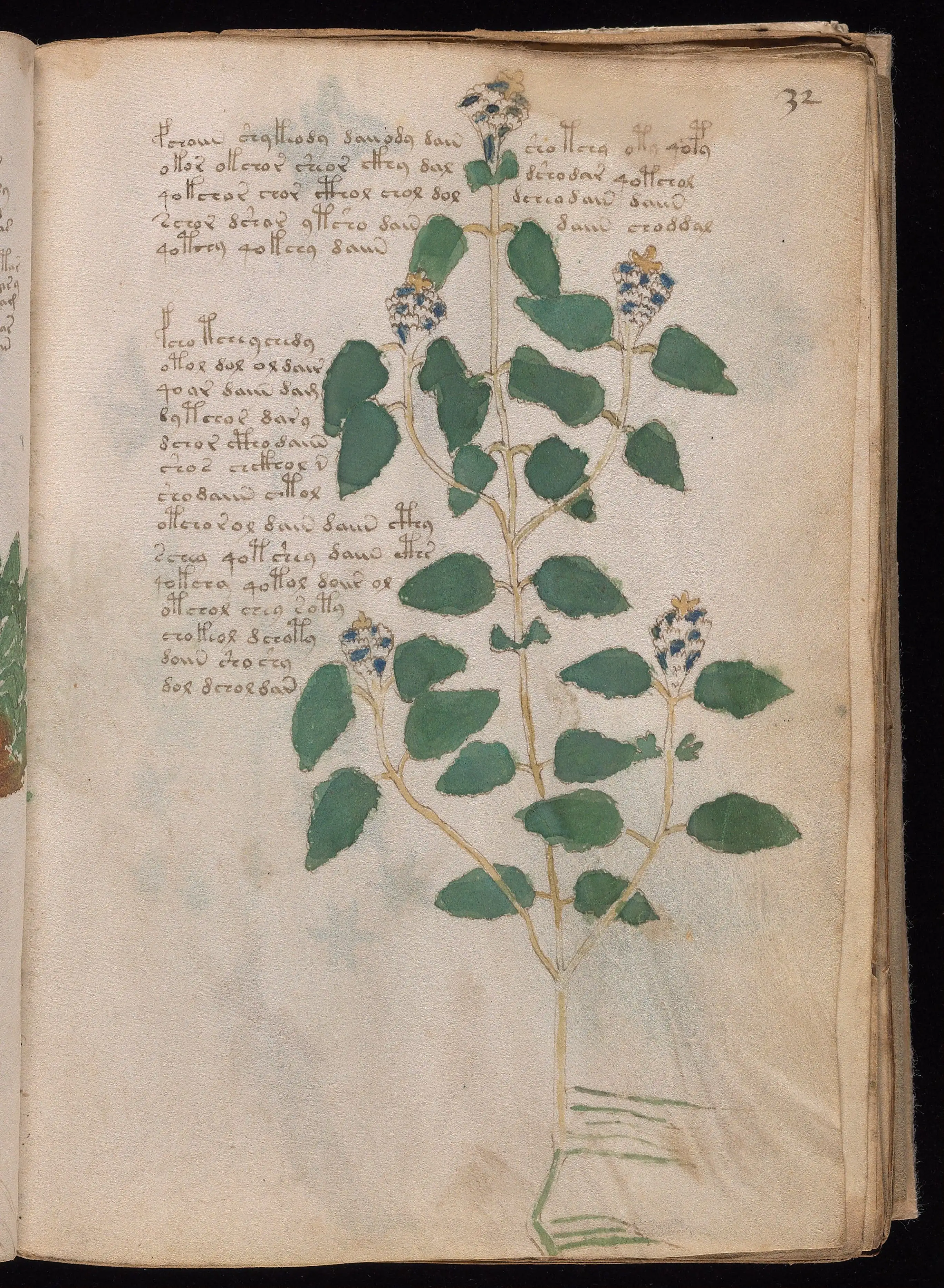 Folio f32r
