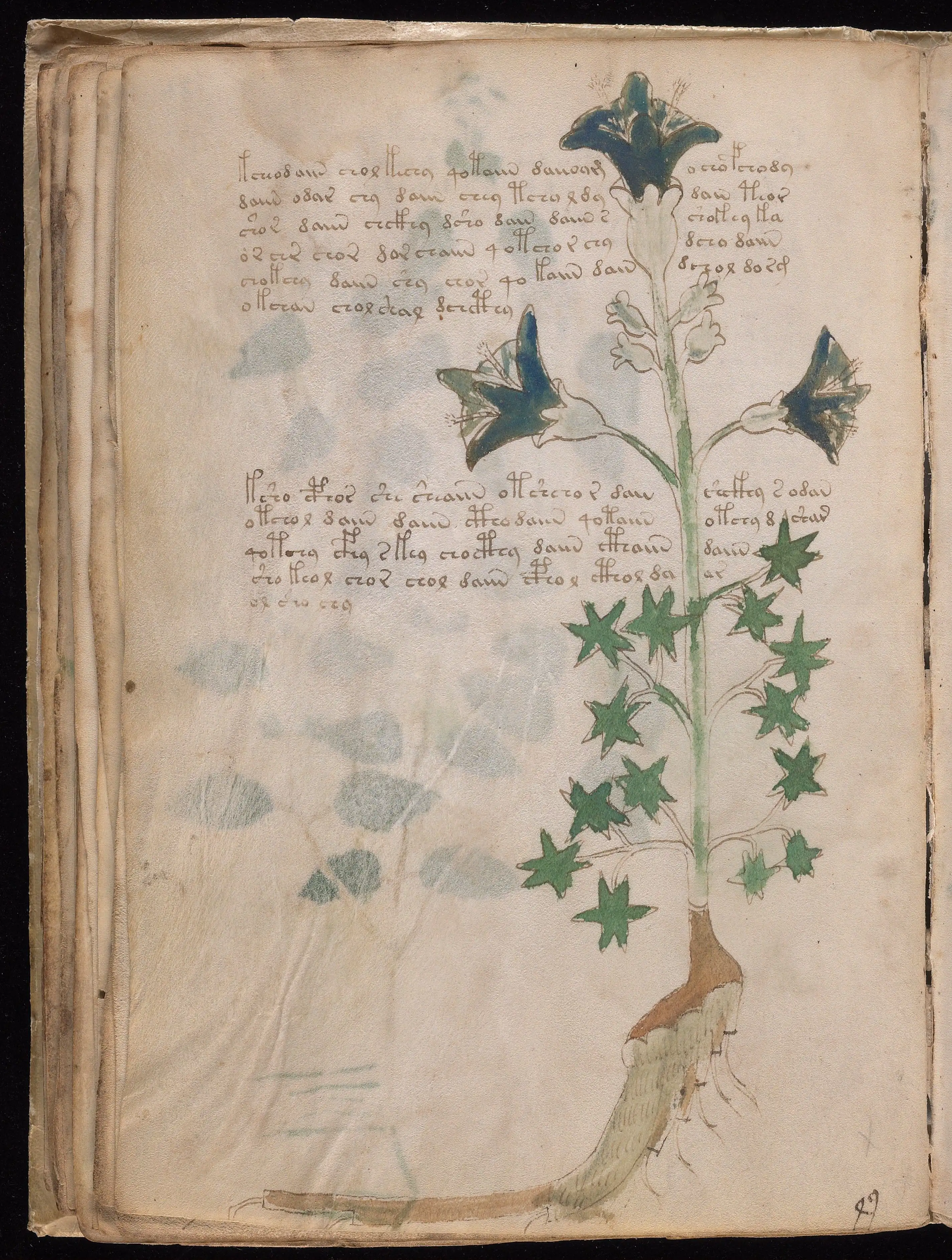 Folio f32v