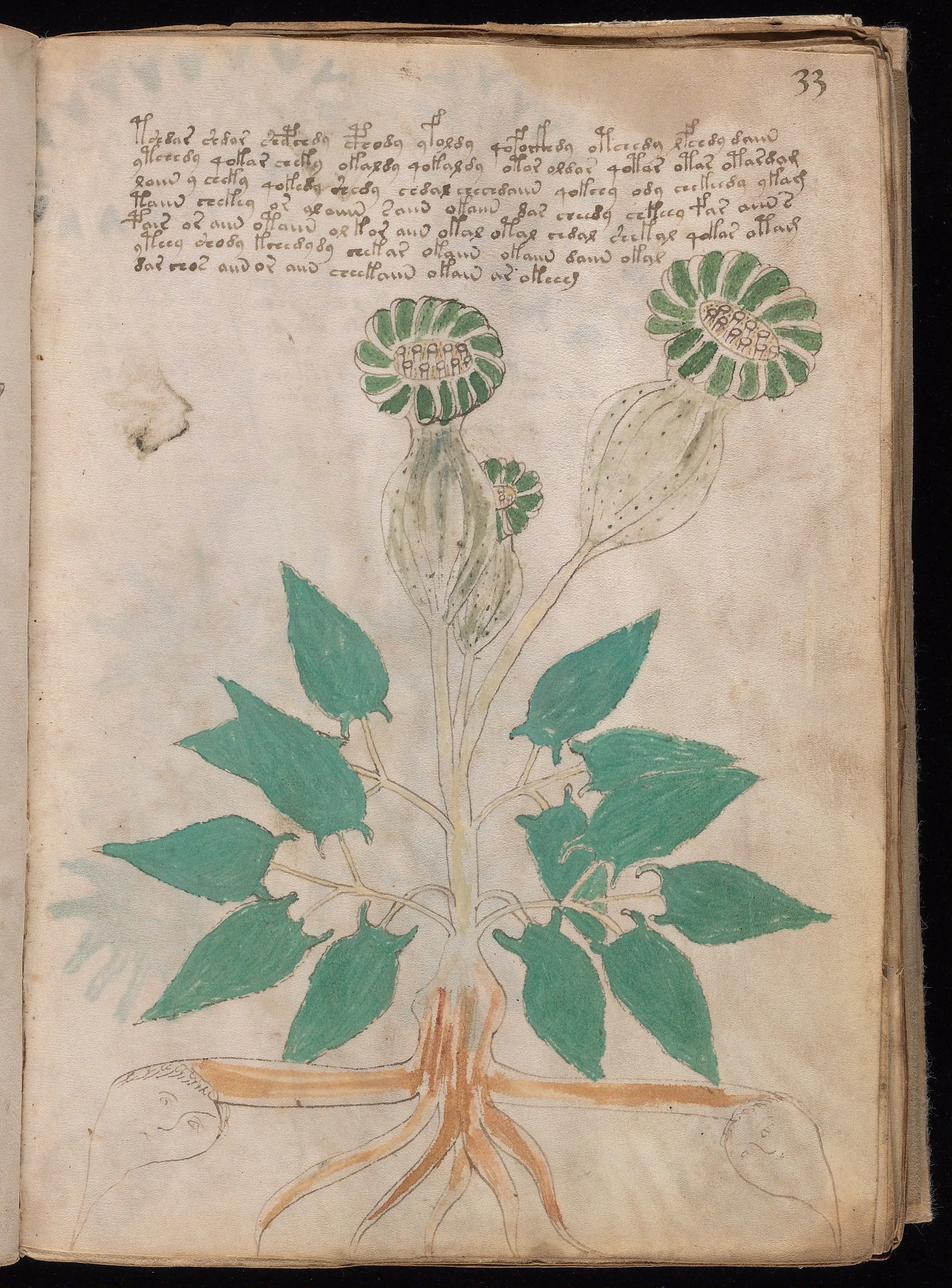 Folio f33r