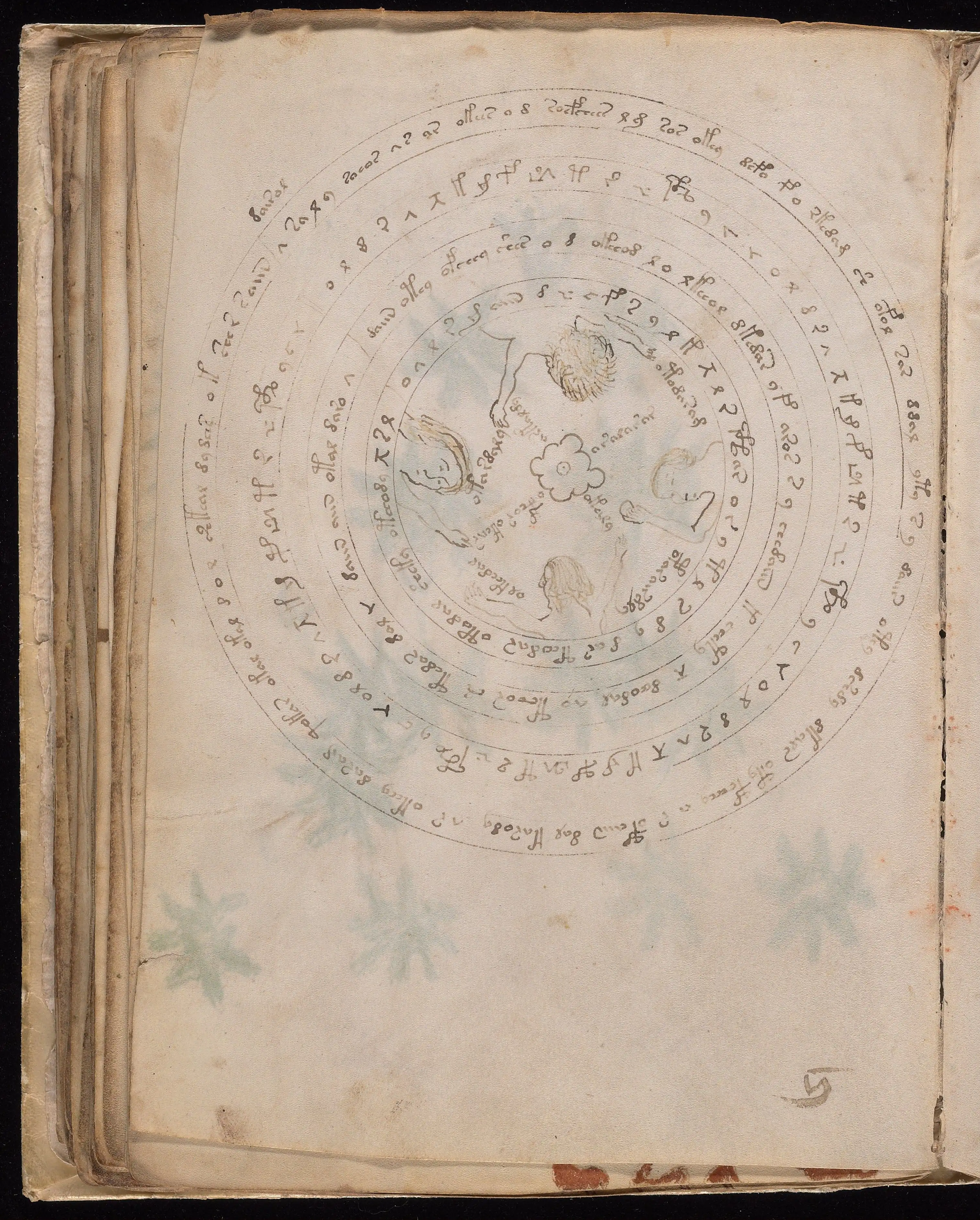 Folio f57v