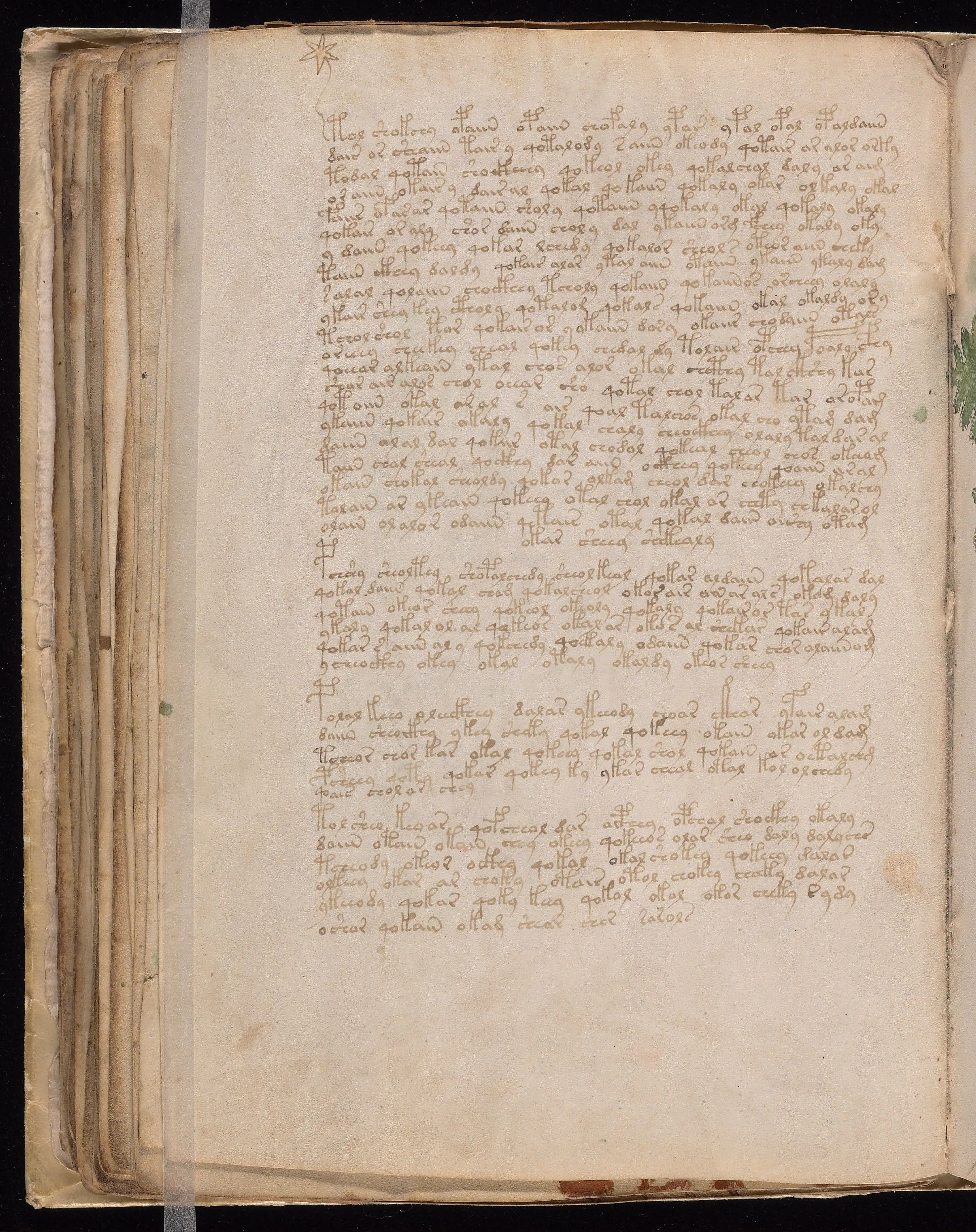 Folio f58v