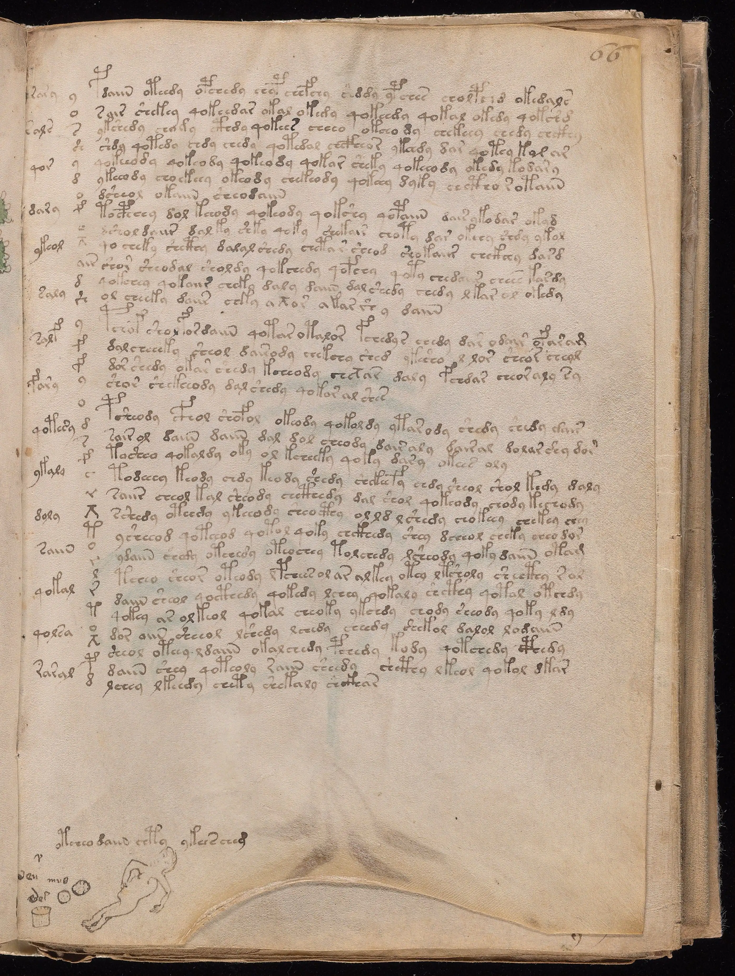 Folio f66r