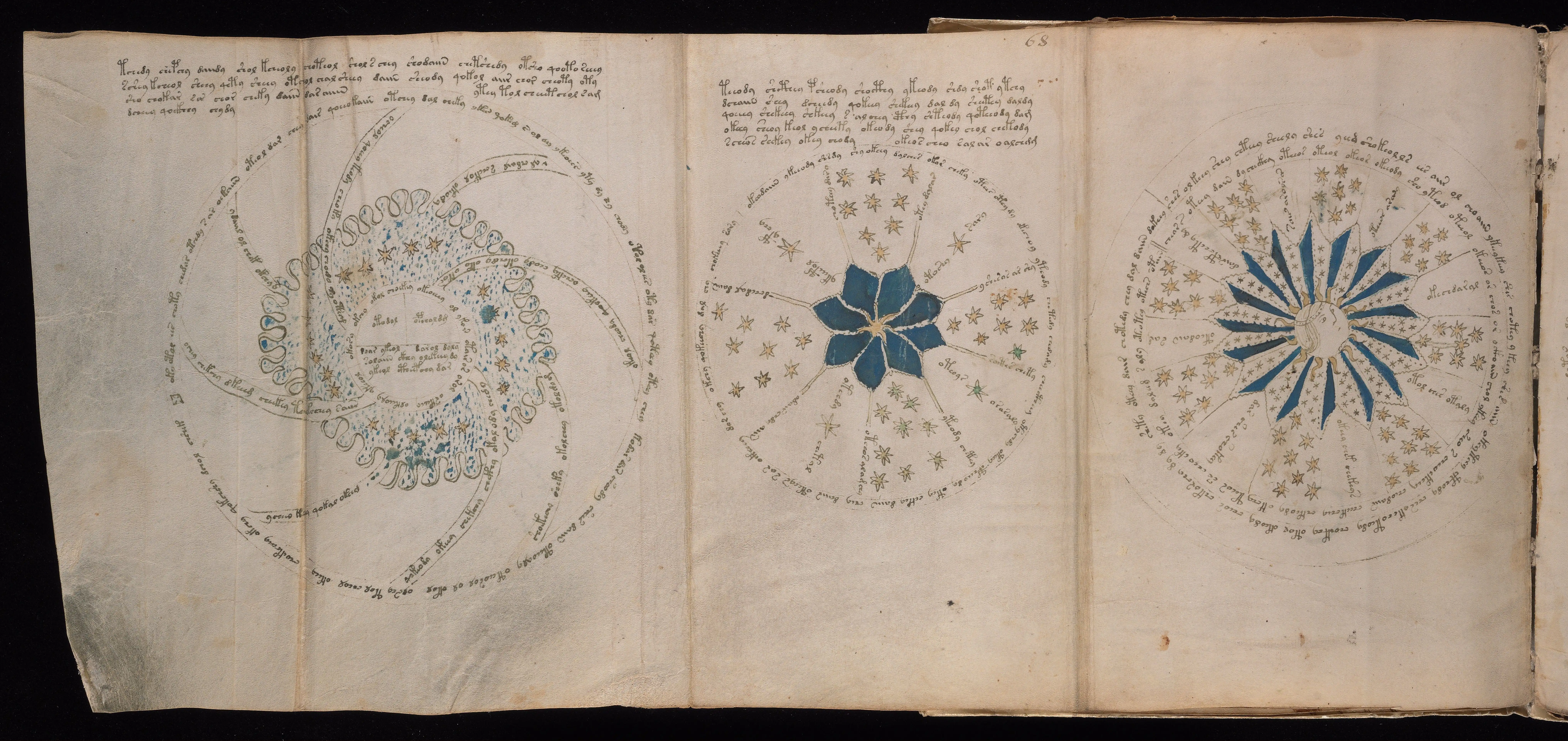Folio f68v1