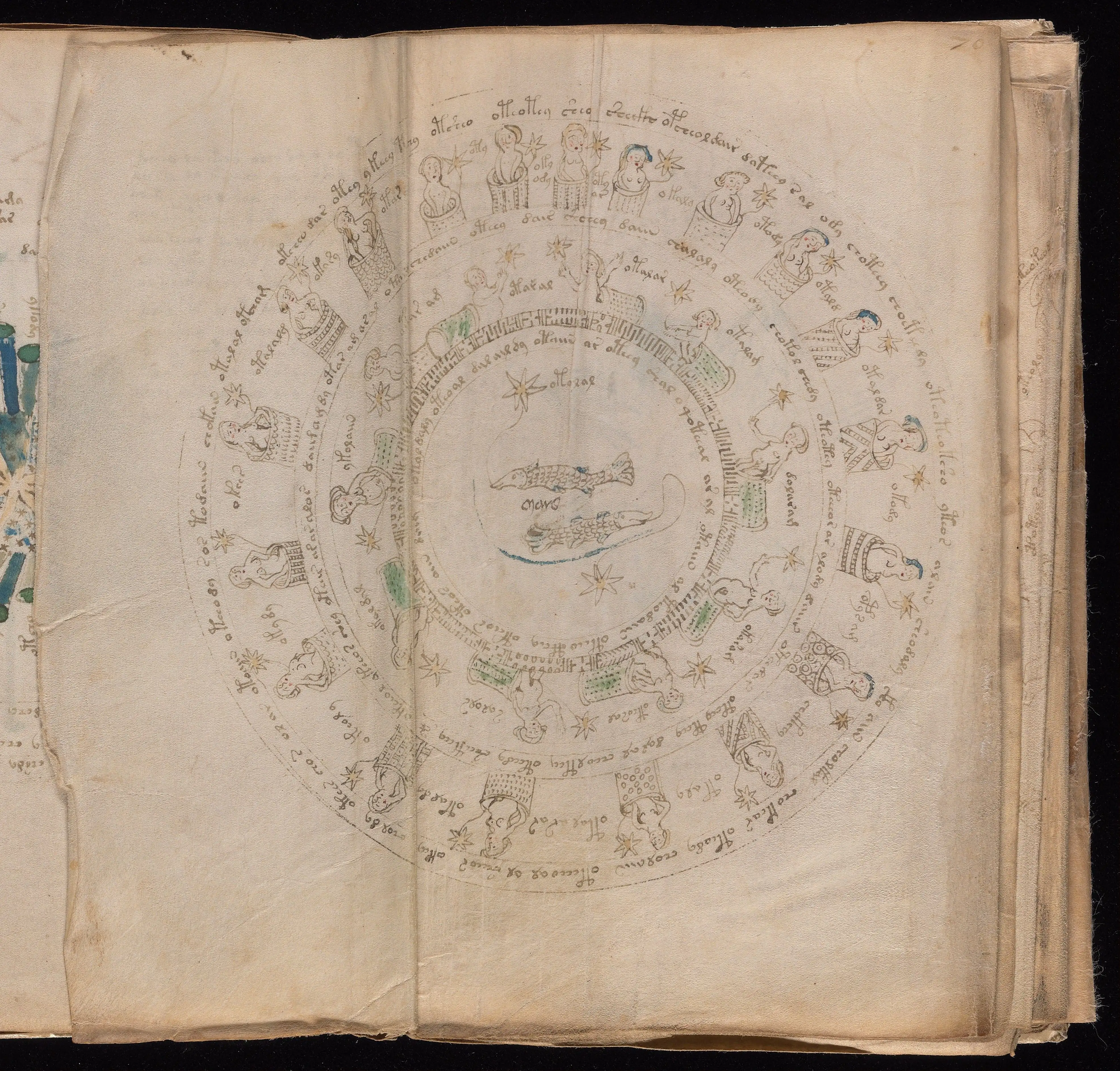 Folio f70v2