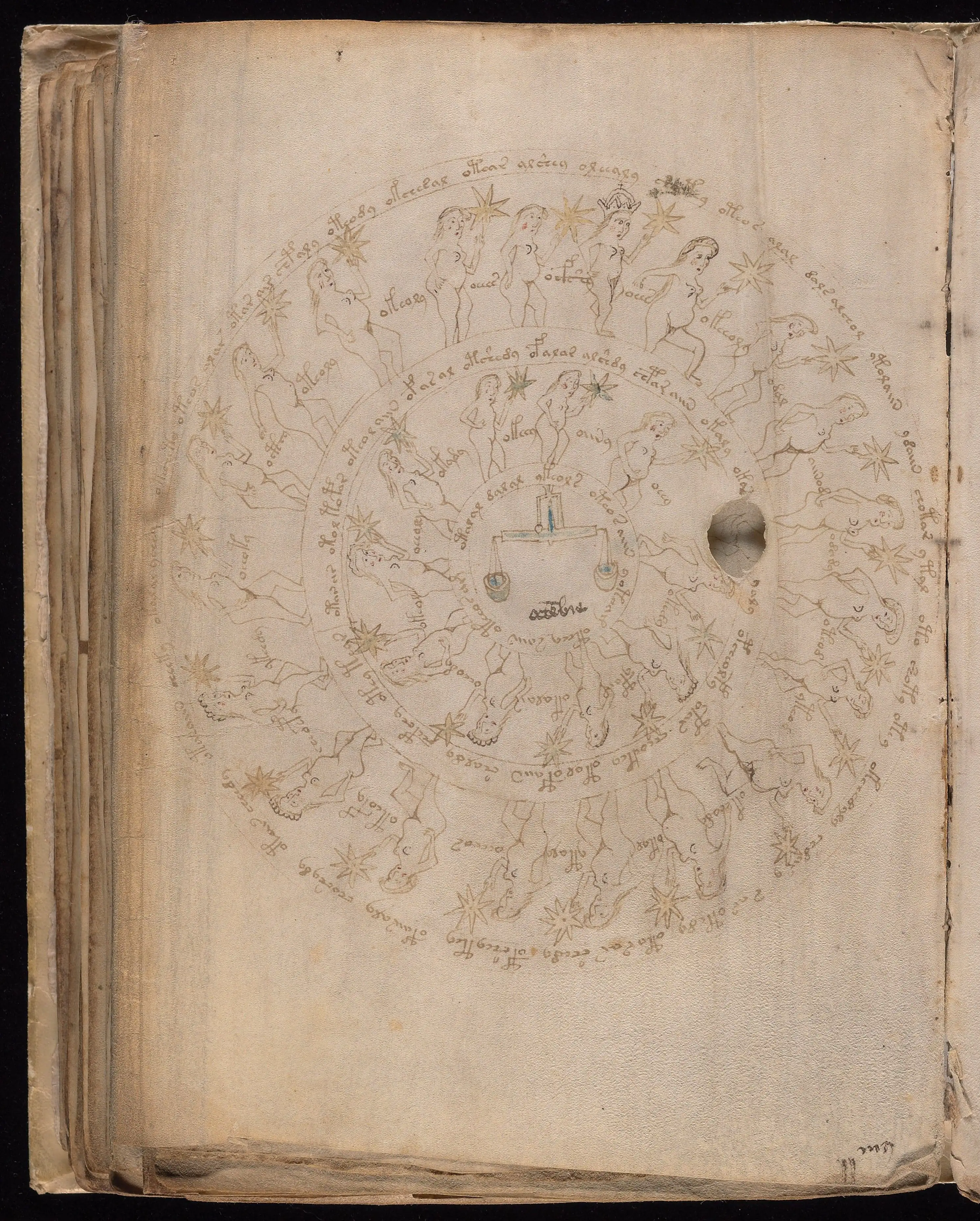 Folio f72v3