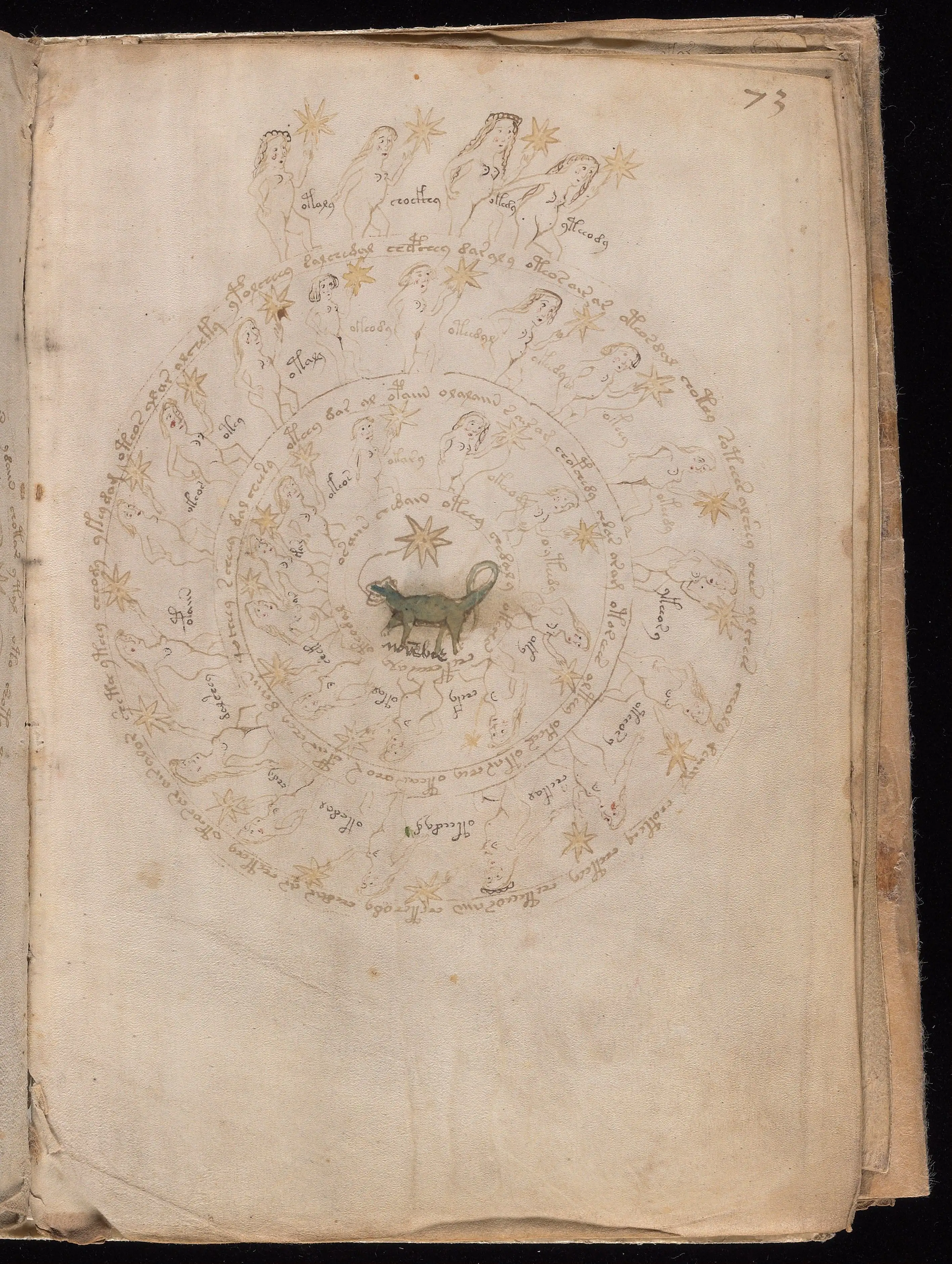 Folio f73r