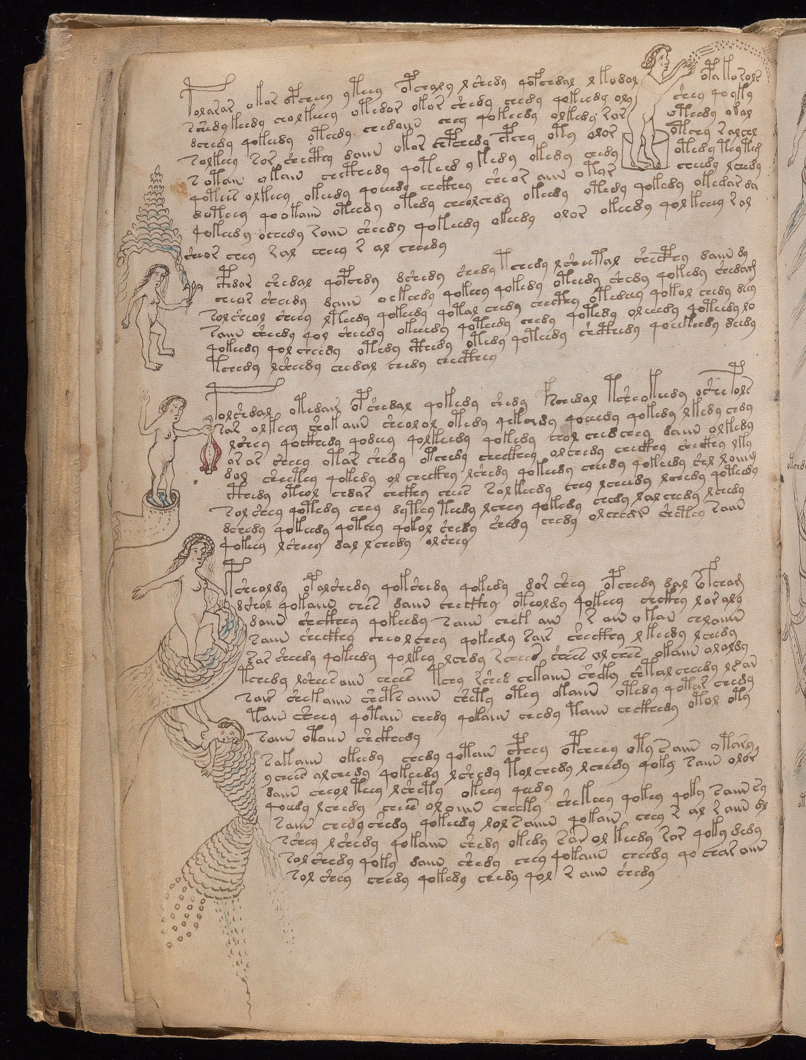 Folio f76v