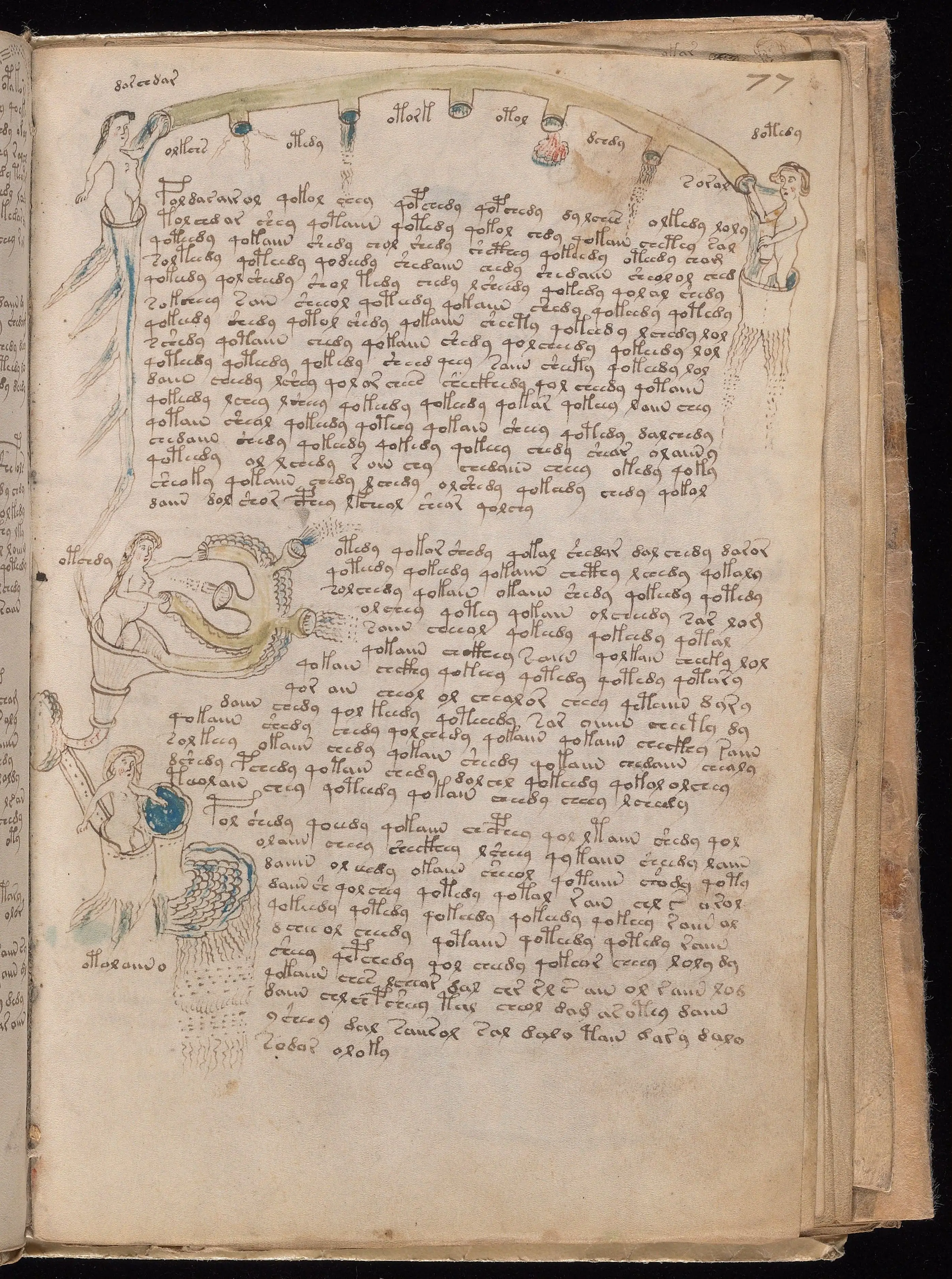 Folio f77r