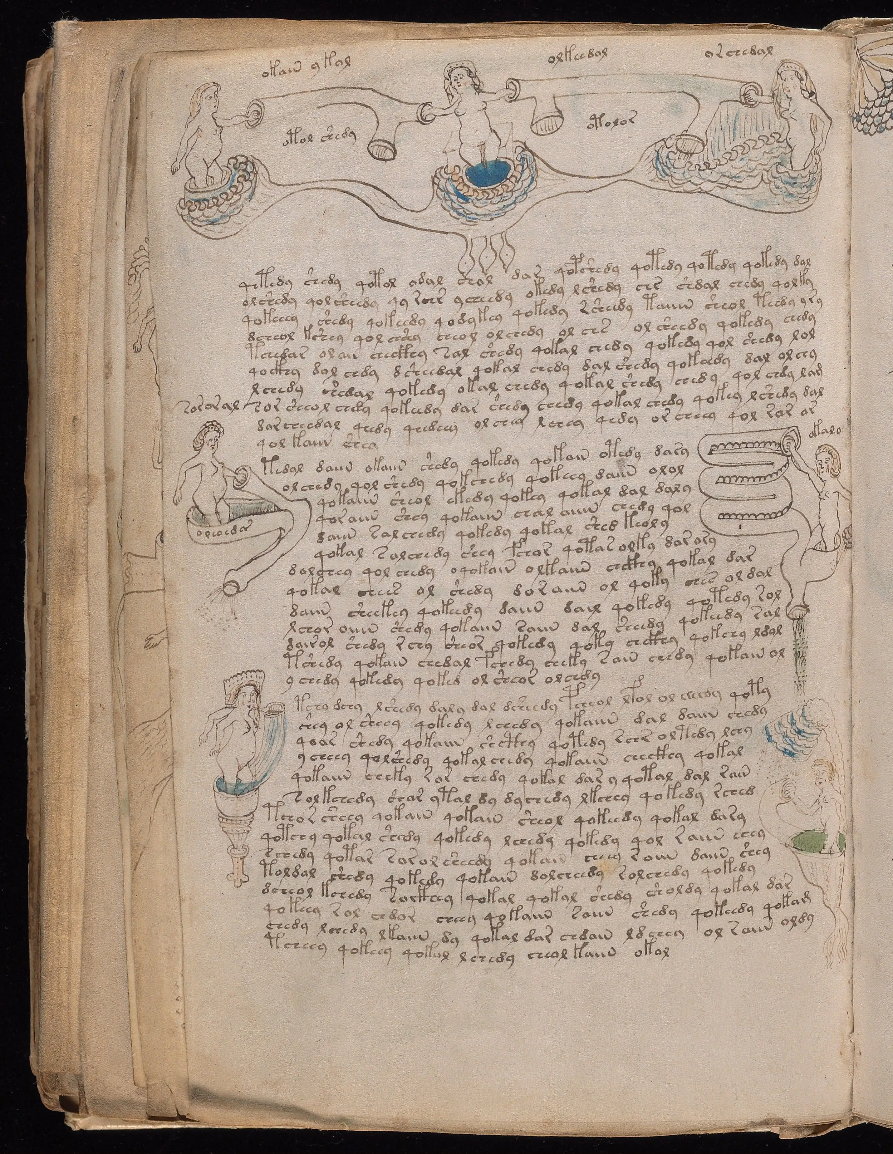Folio f77v