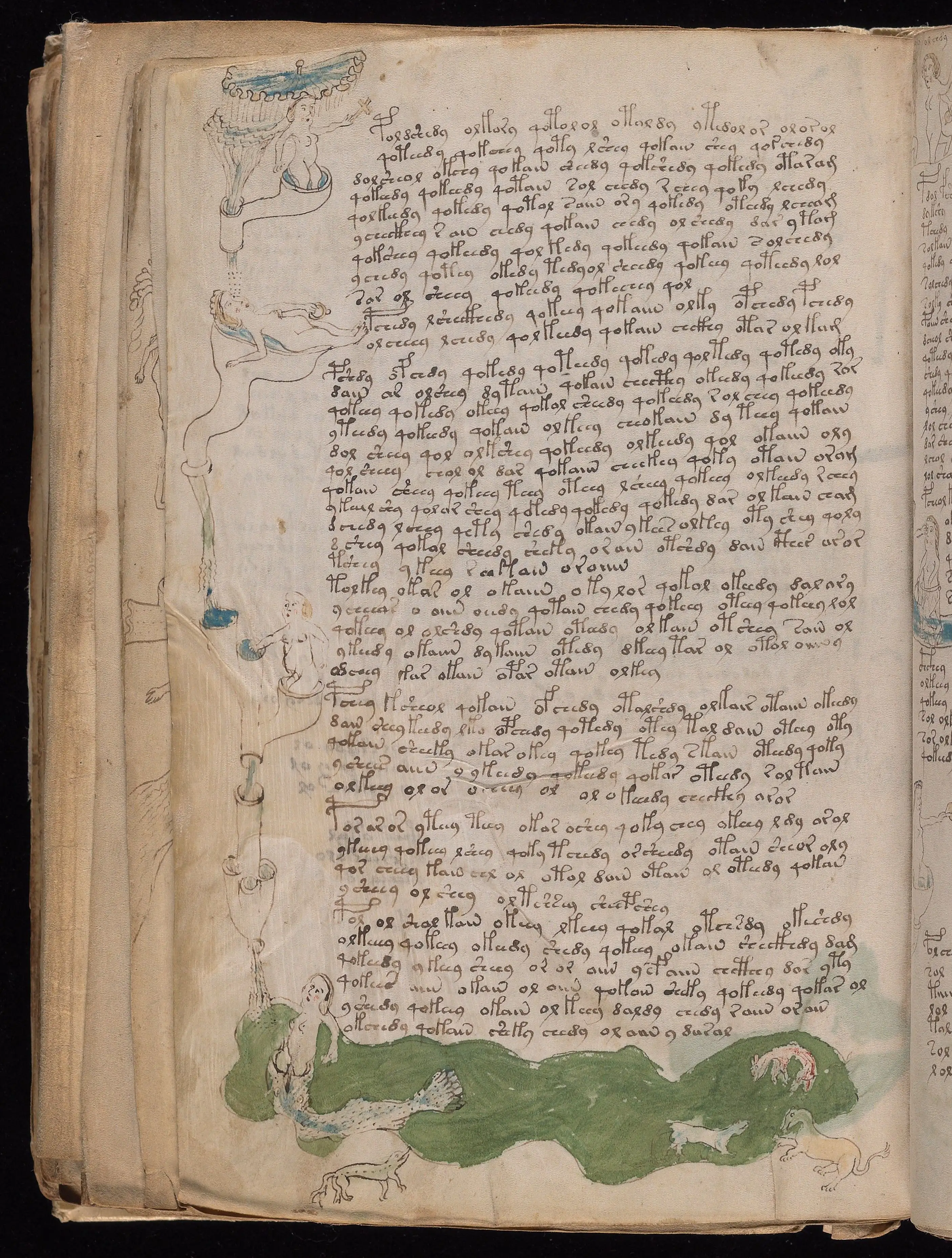 Folio f79v