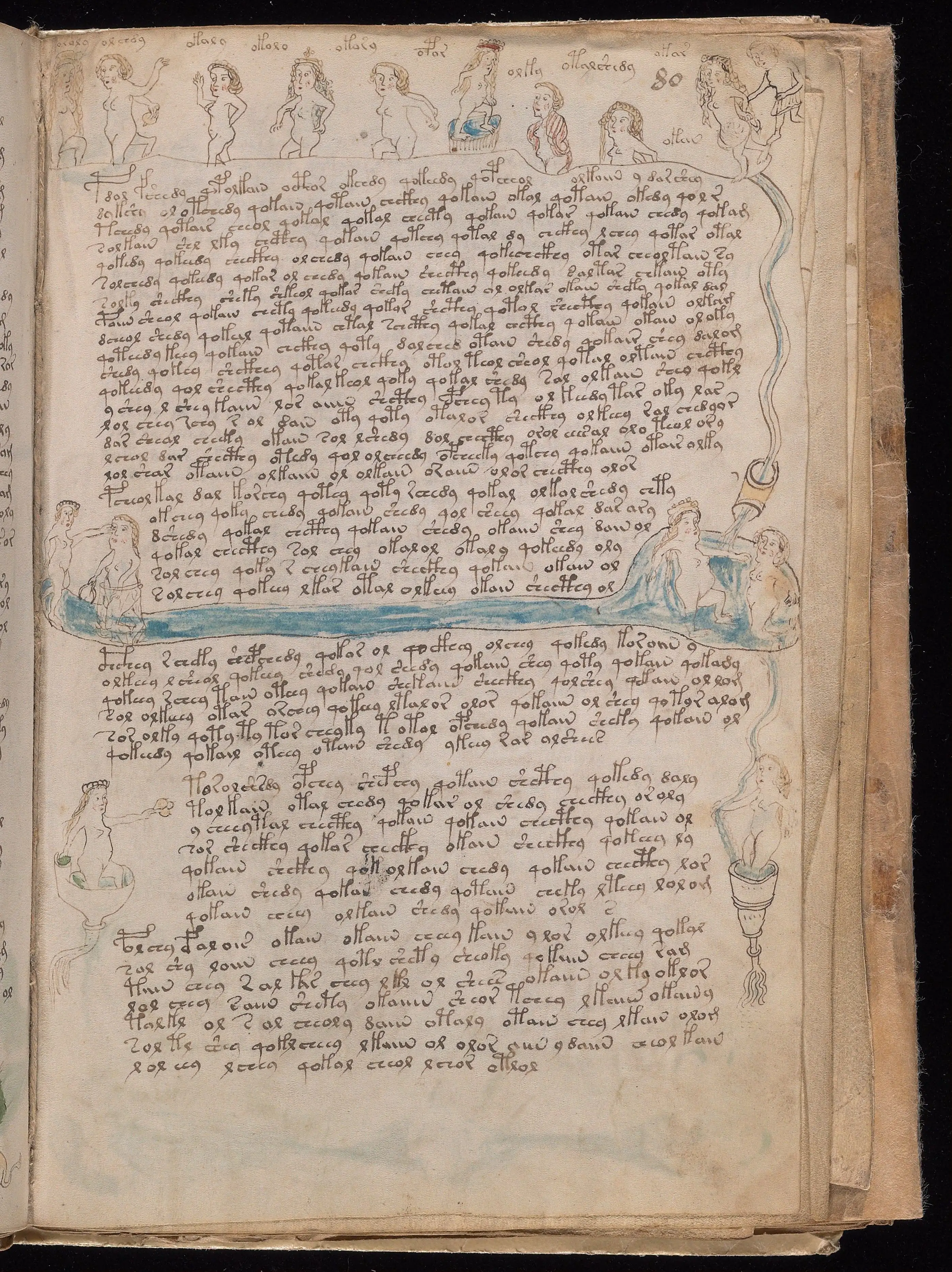 Folio f80r