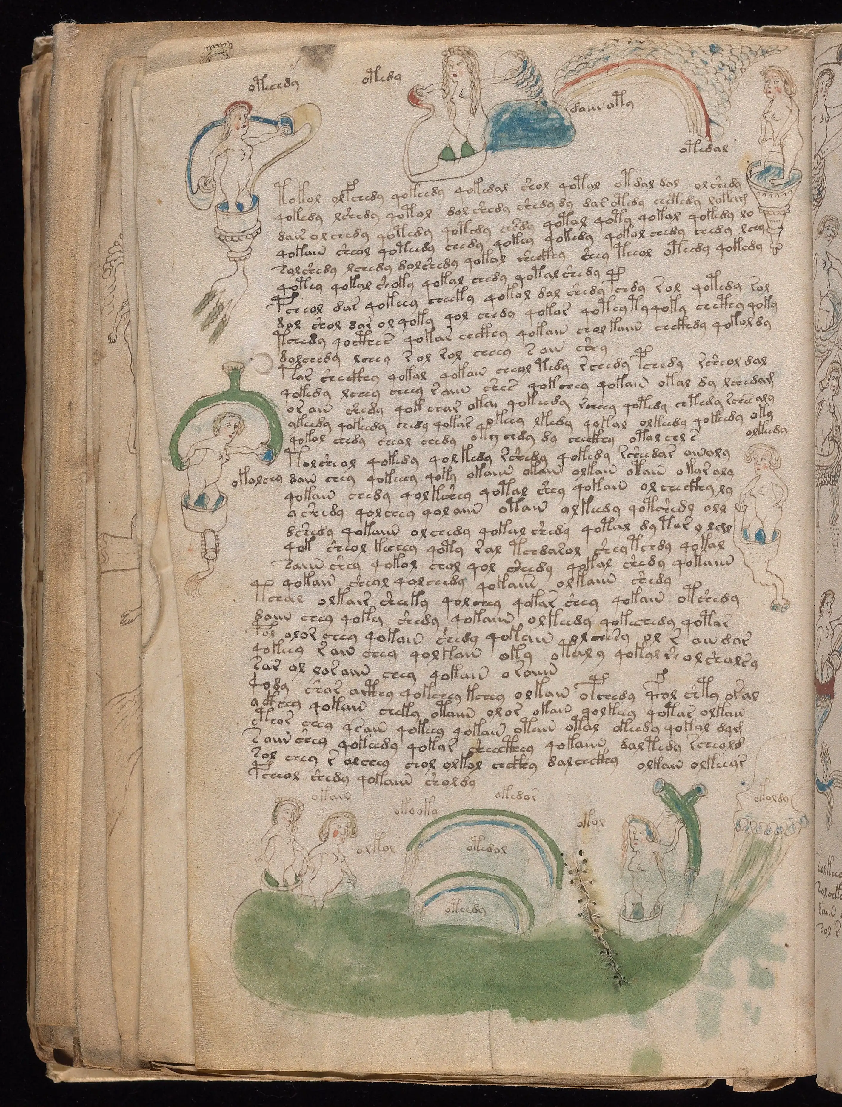 Folio f82v