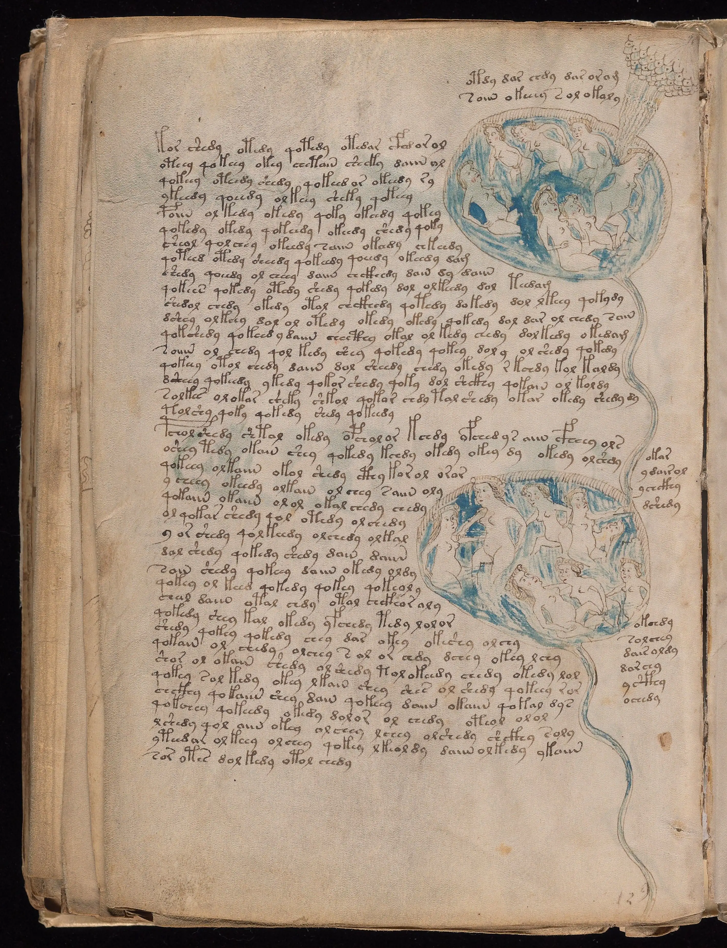 Folio f84v