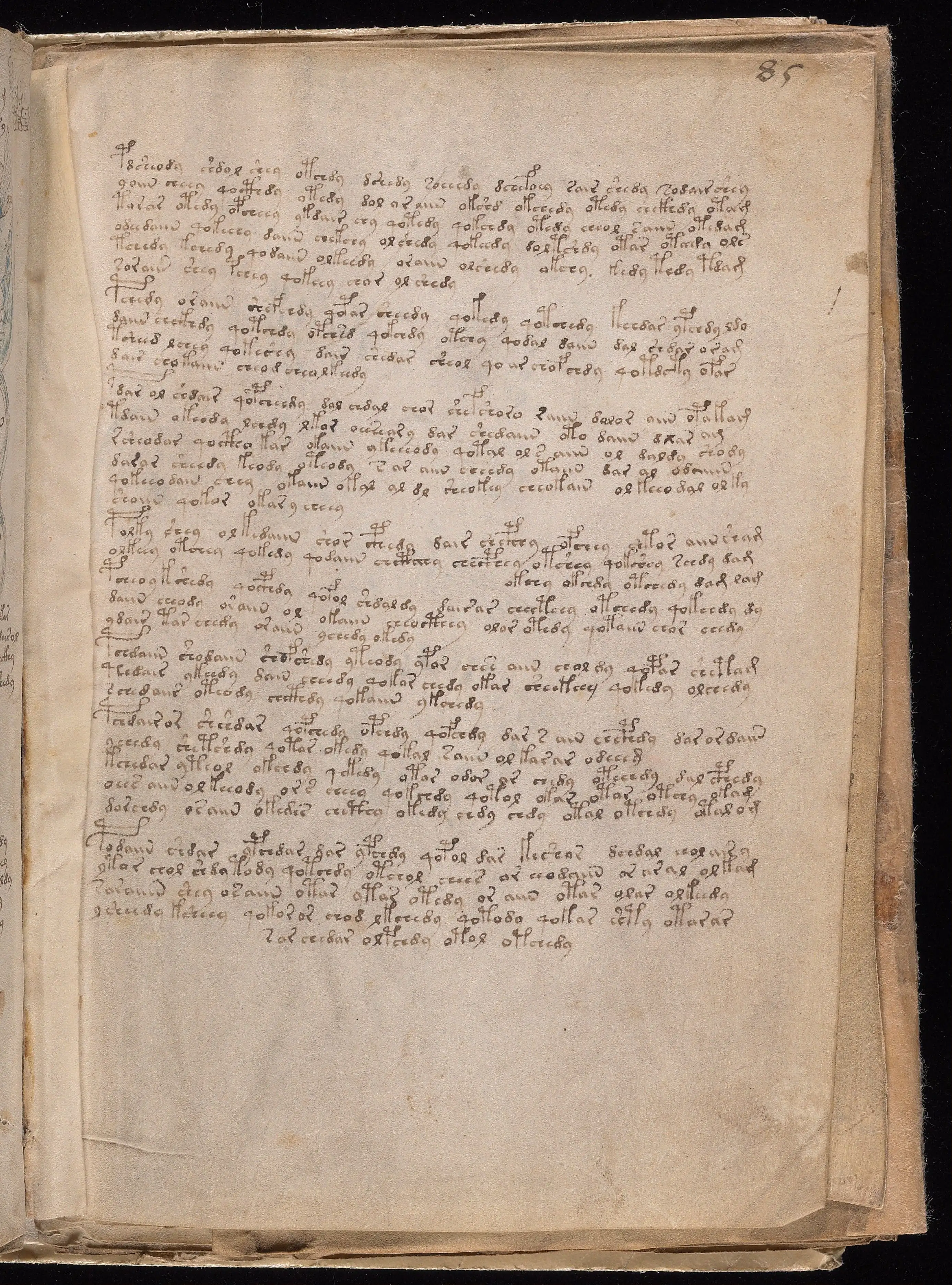 Folio f85r1