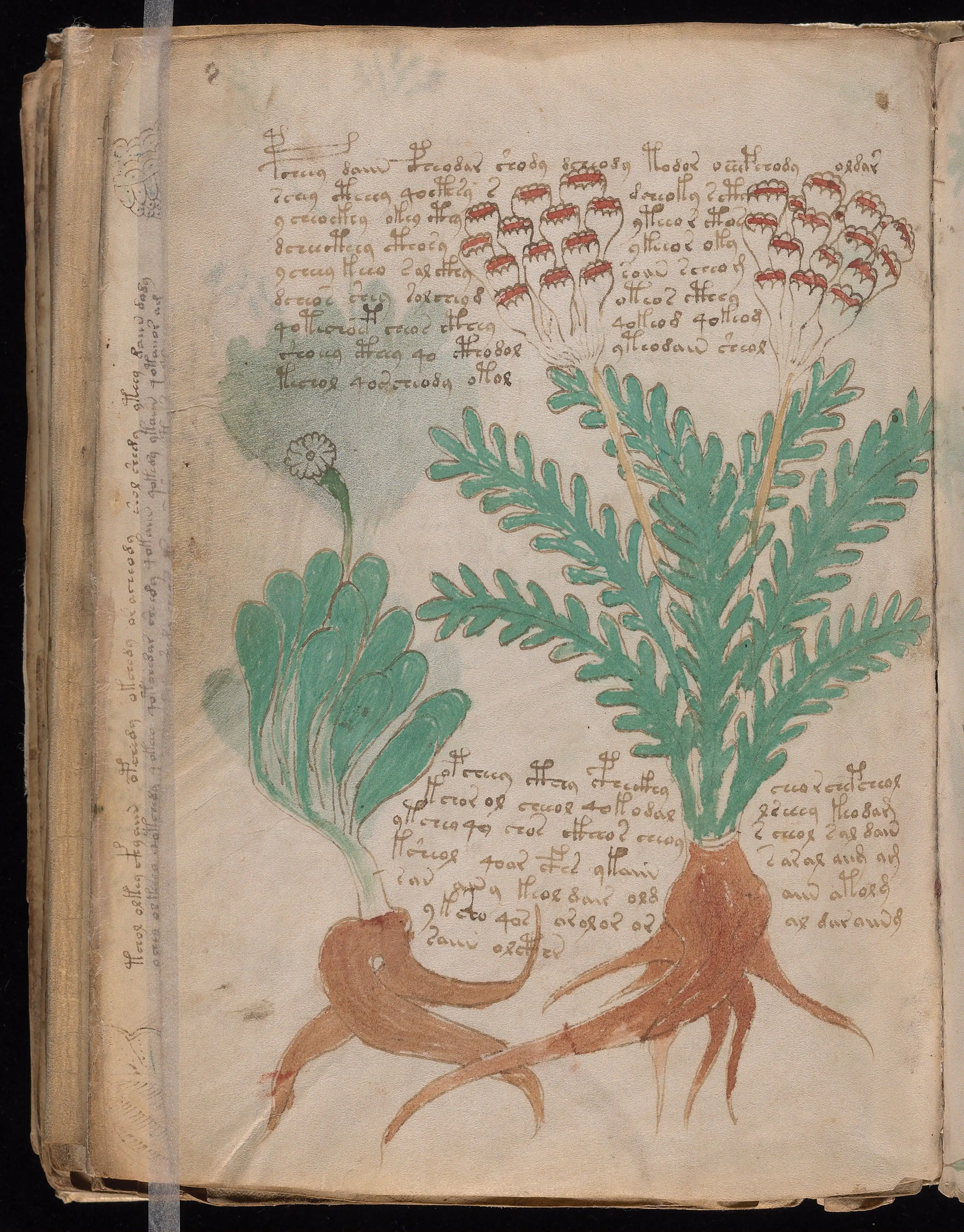 Folio f87v