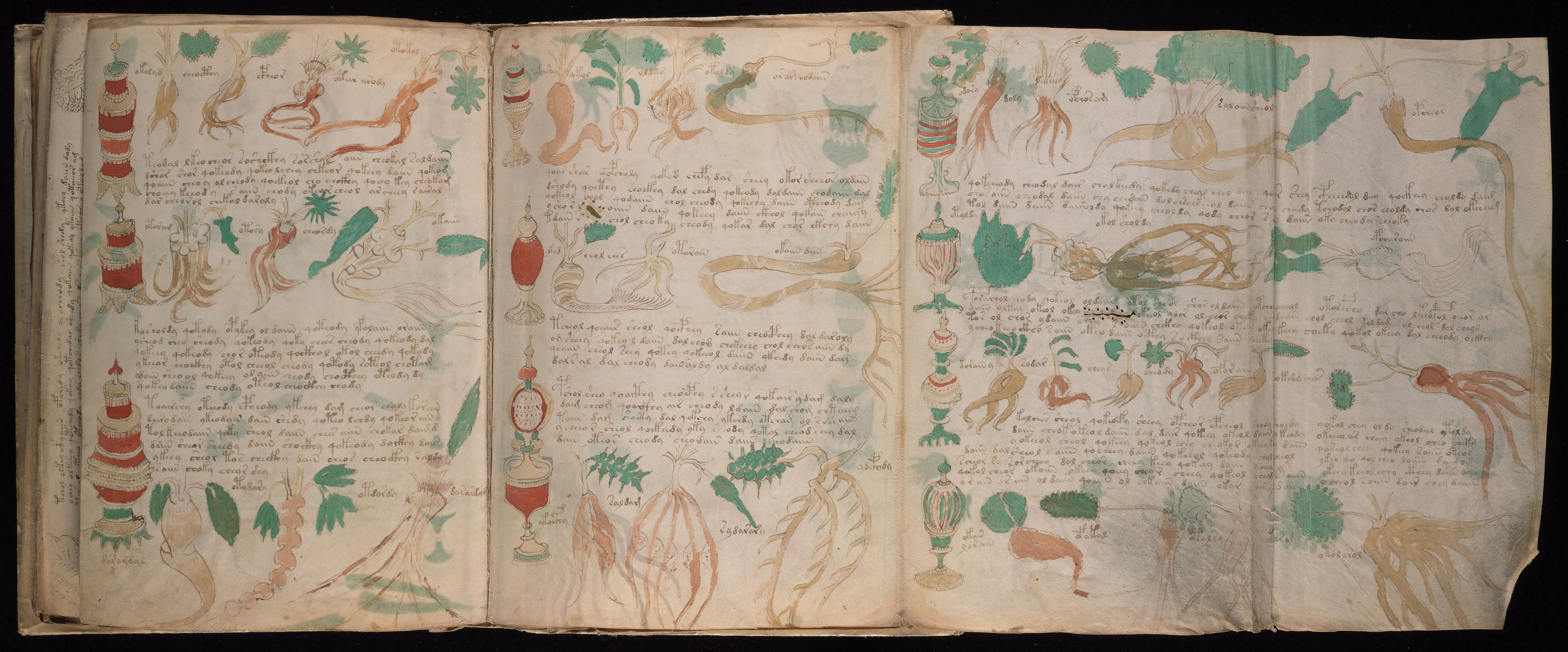 Folio f88v