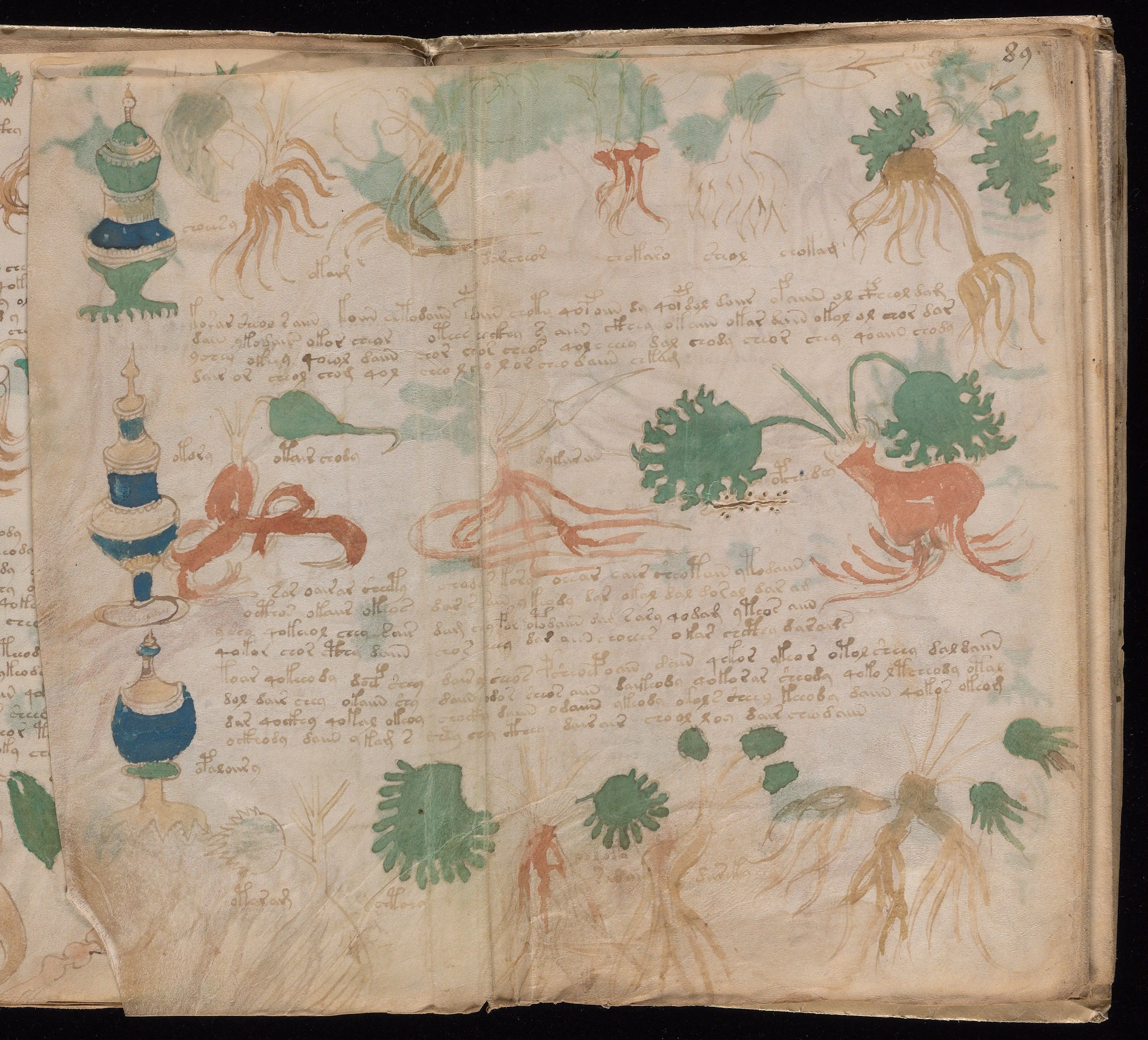 Folio f89v1