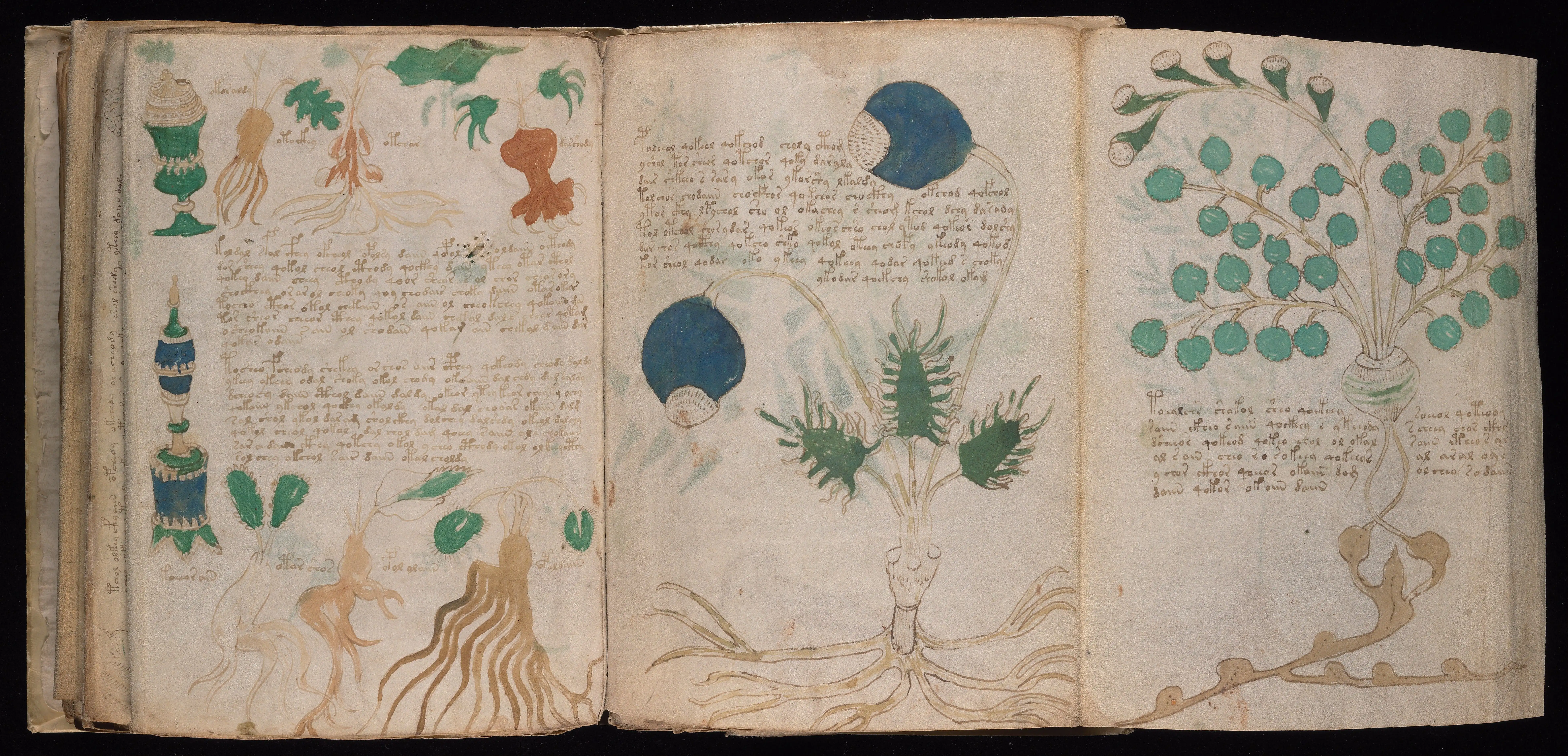 Folio f89v2