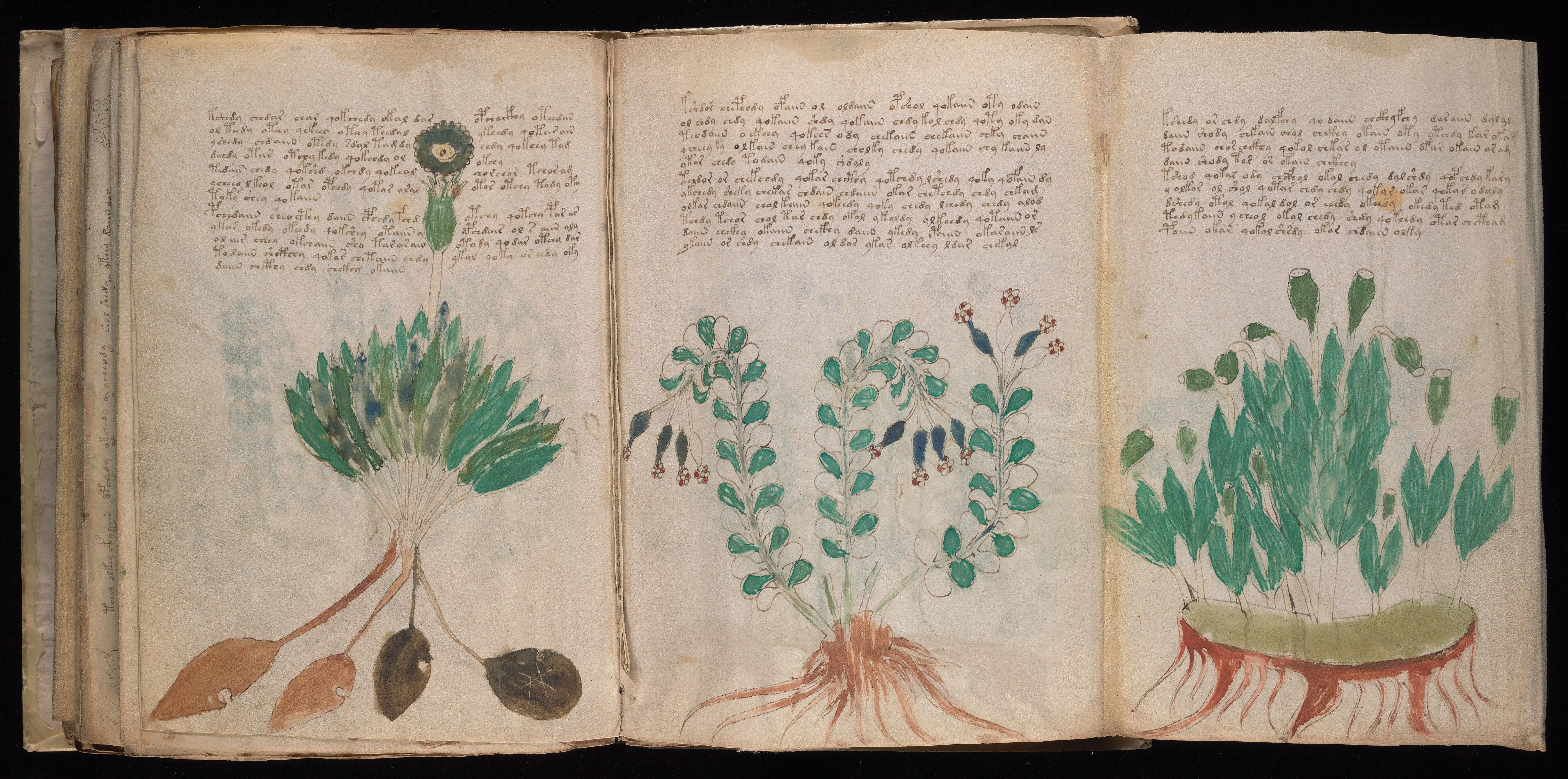 Folio f94v