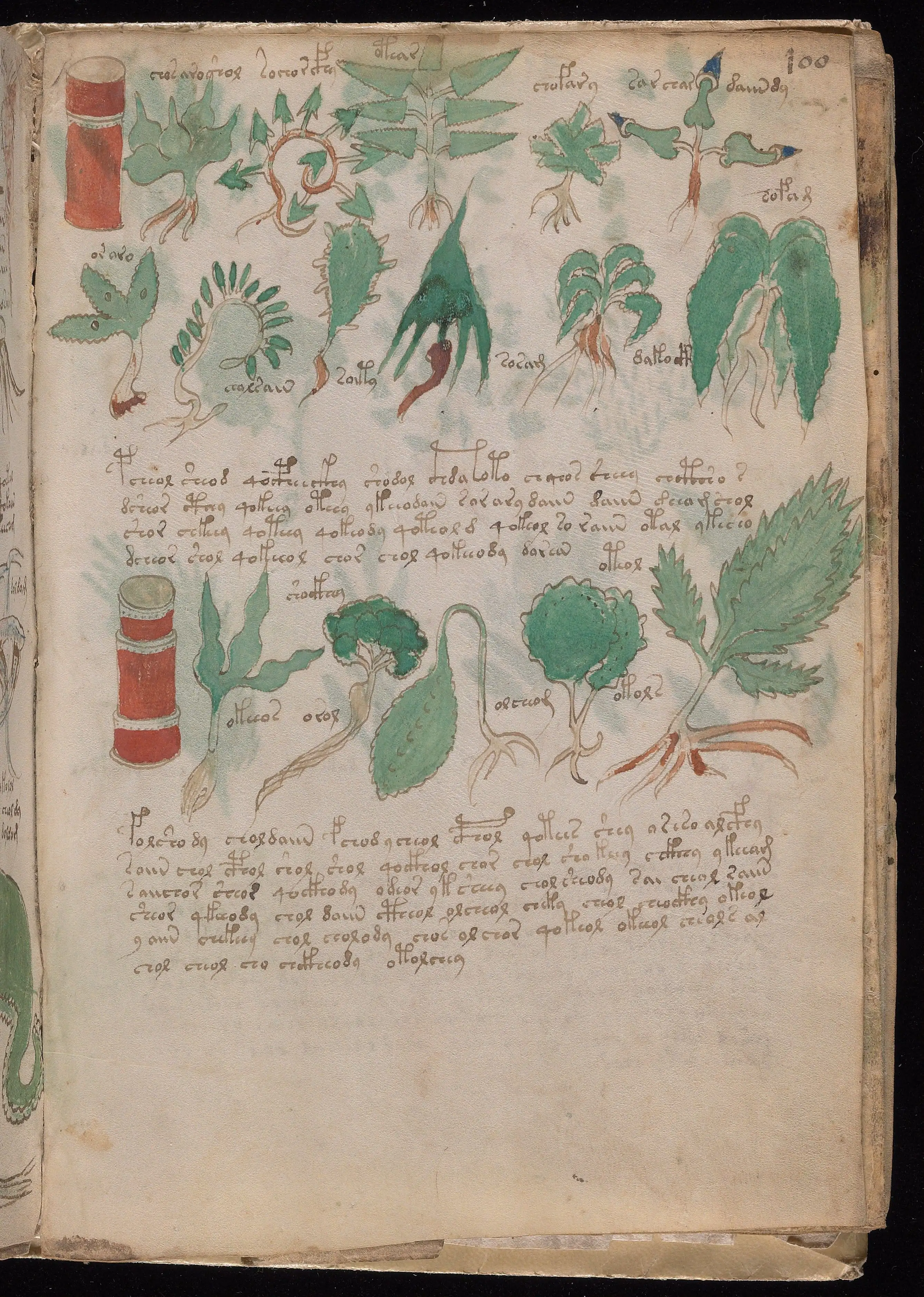 Folio f100r