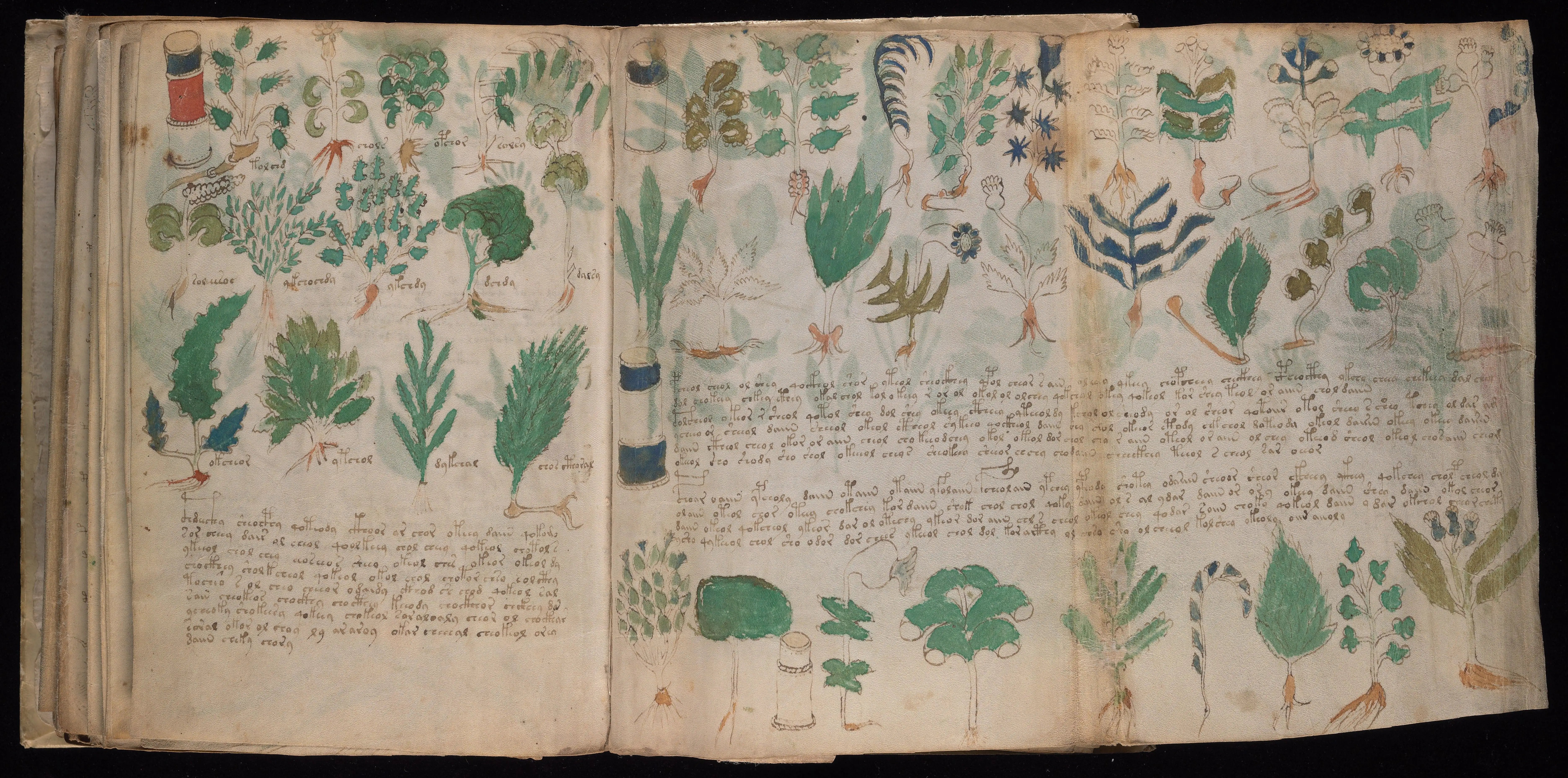 Folio f100v
