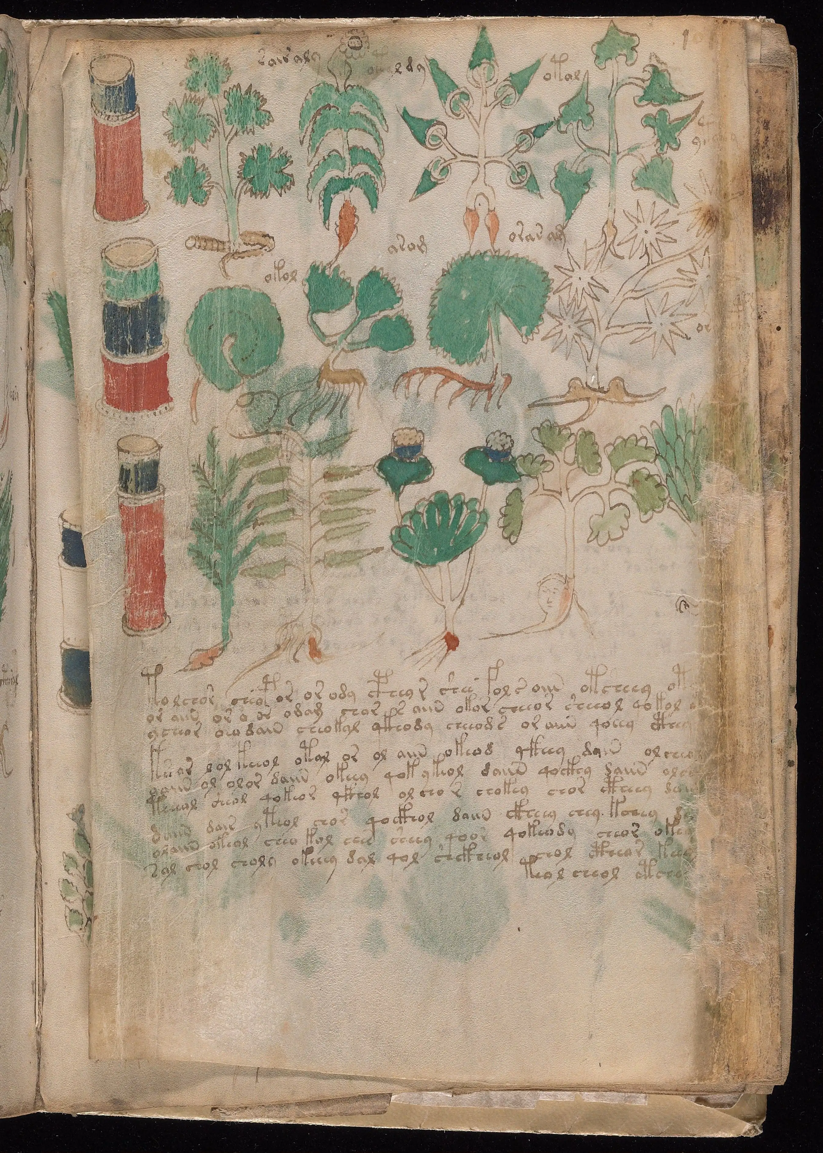 Folio f101v2