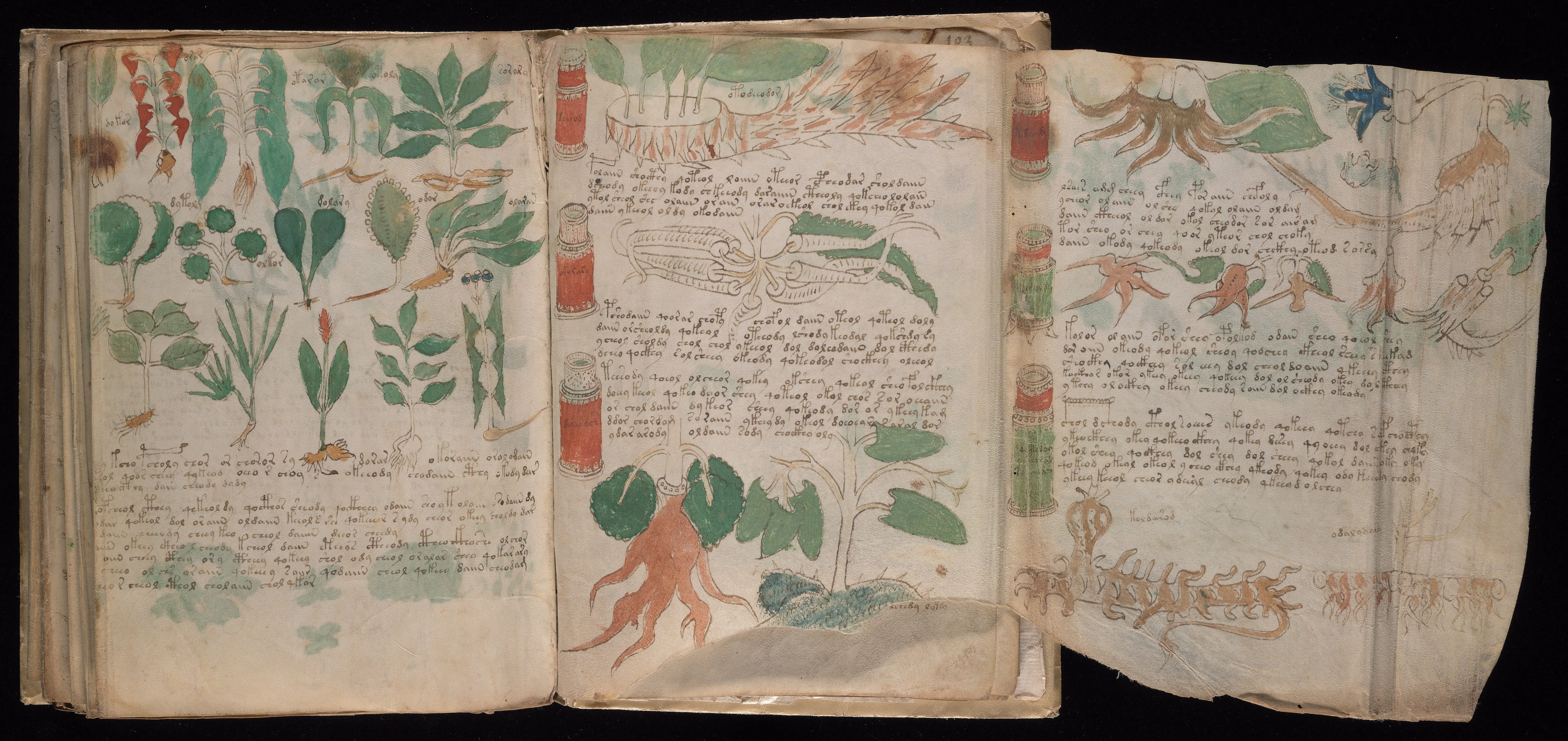 Folio f102r2