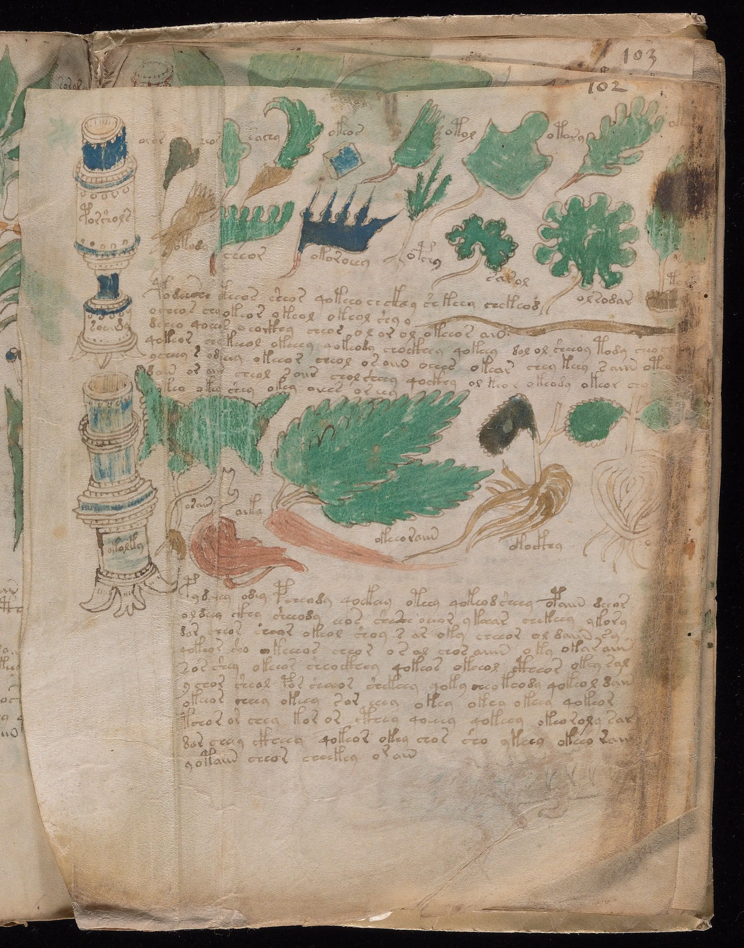 Folio f102v2