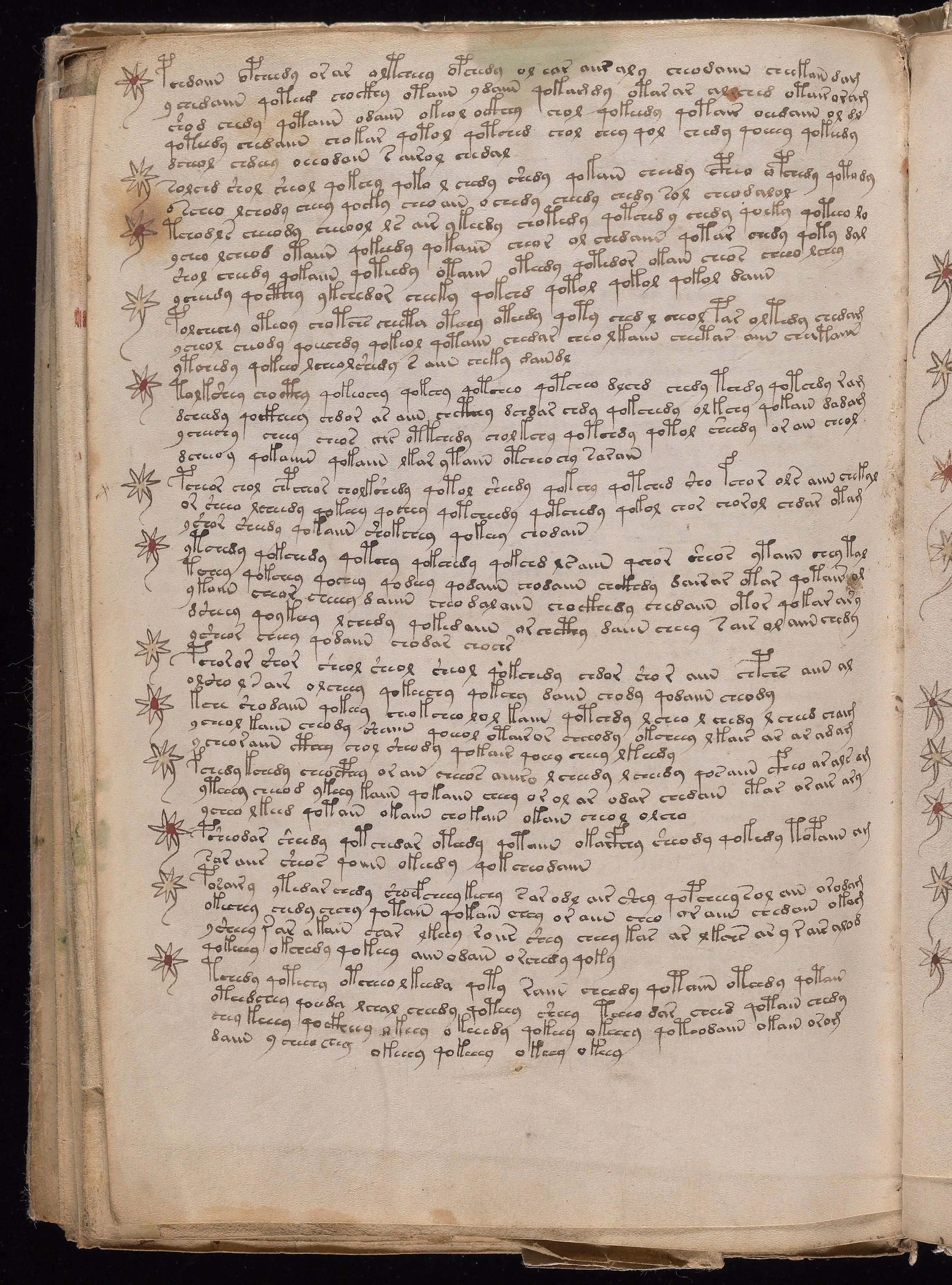 Folio f104v