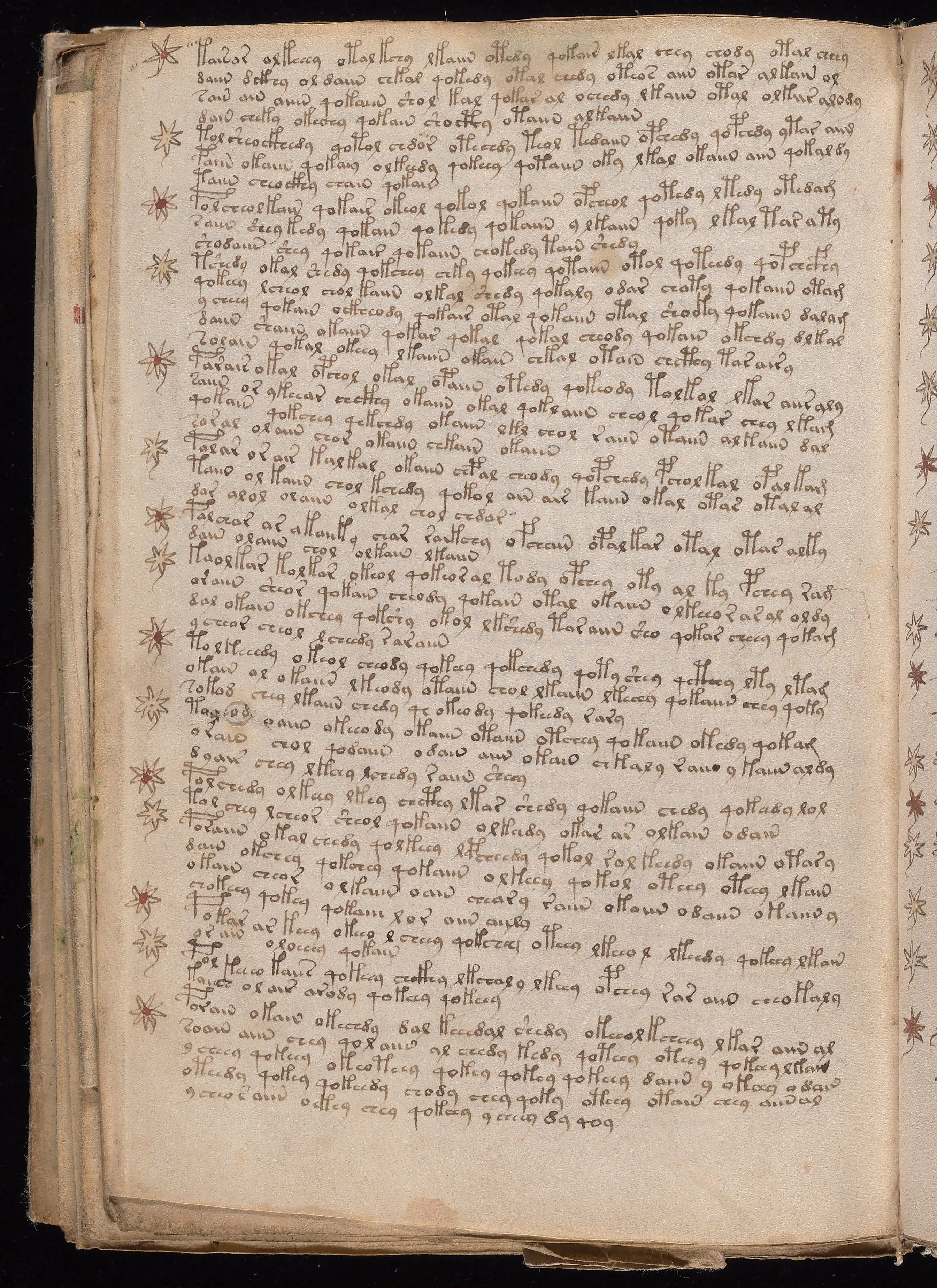 Folio f107v