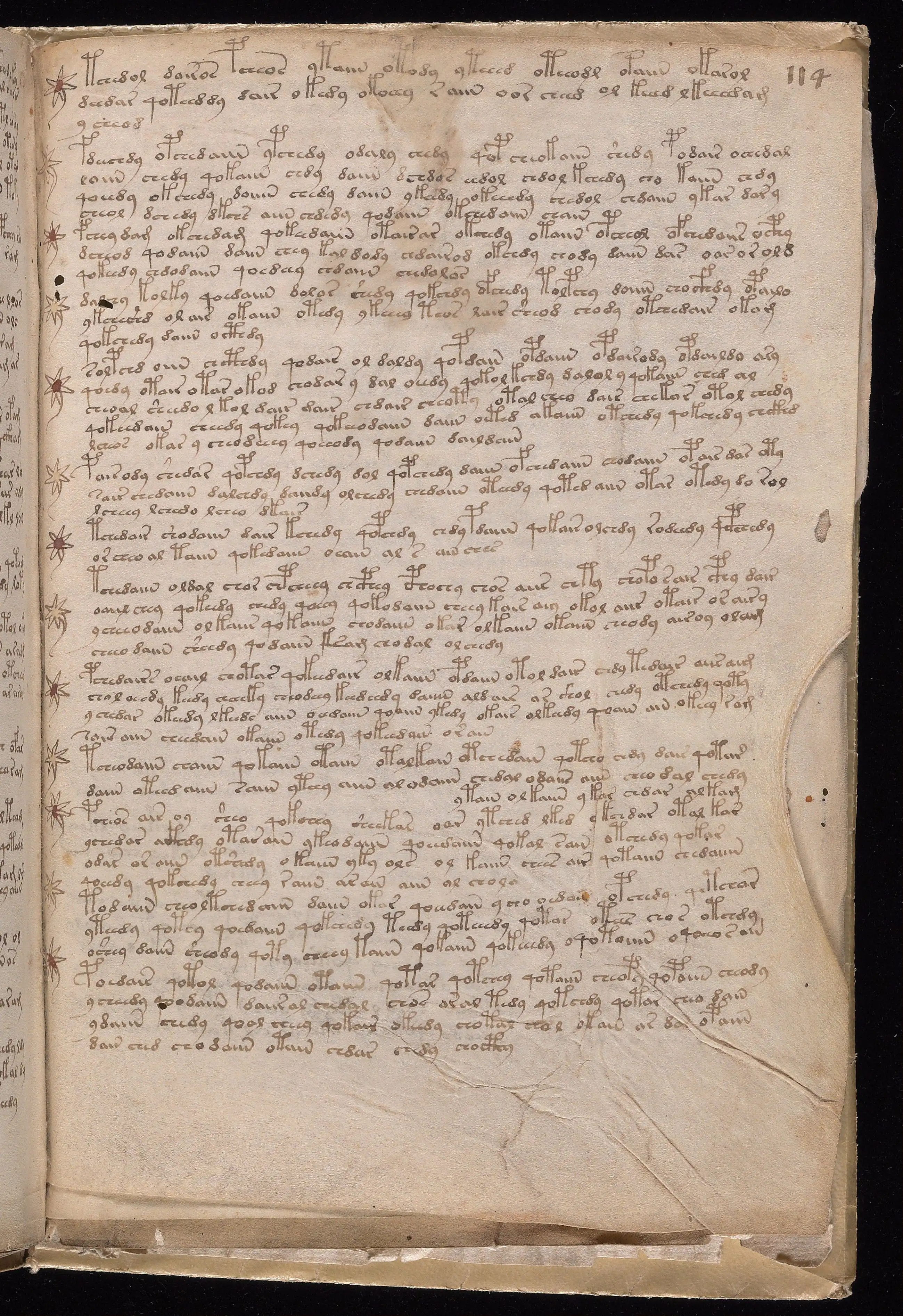Folio f114r