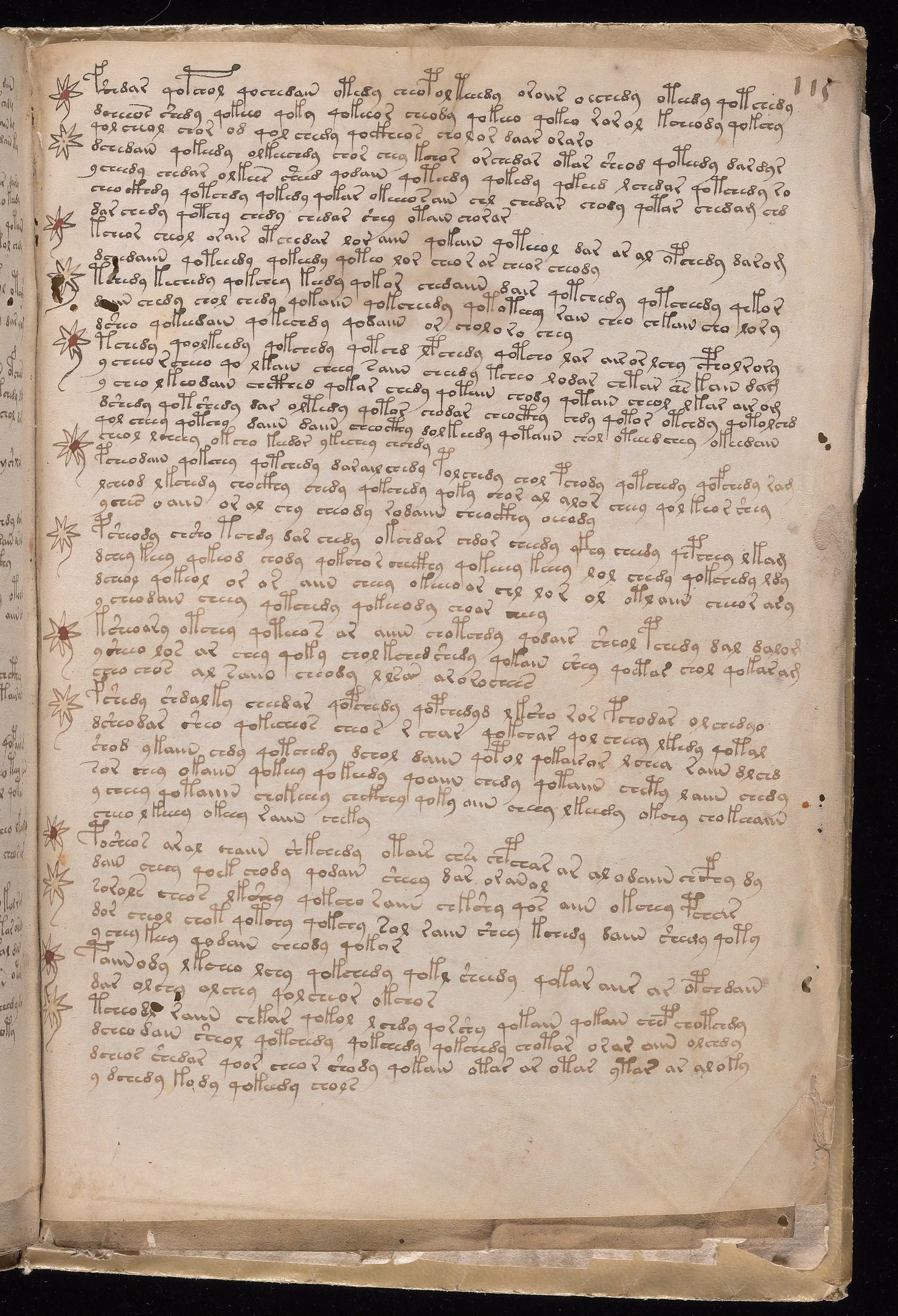 Folio f115r