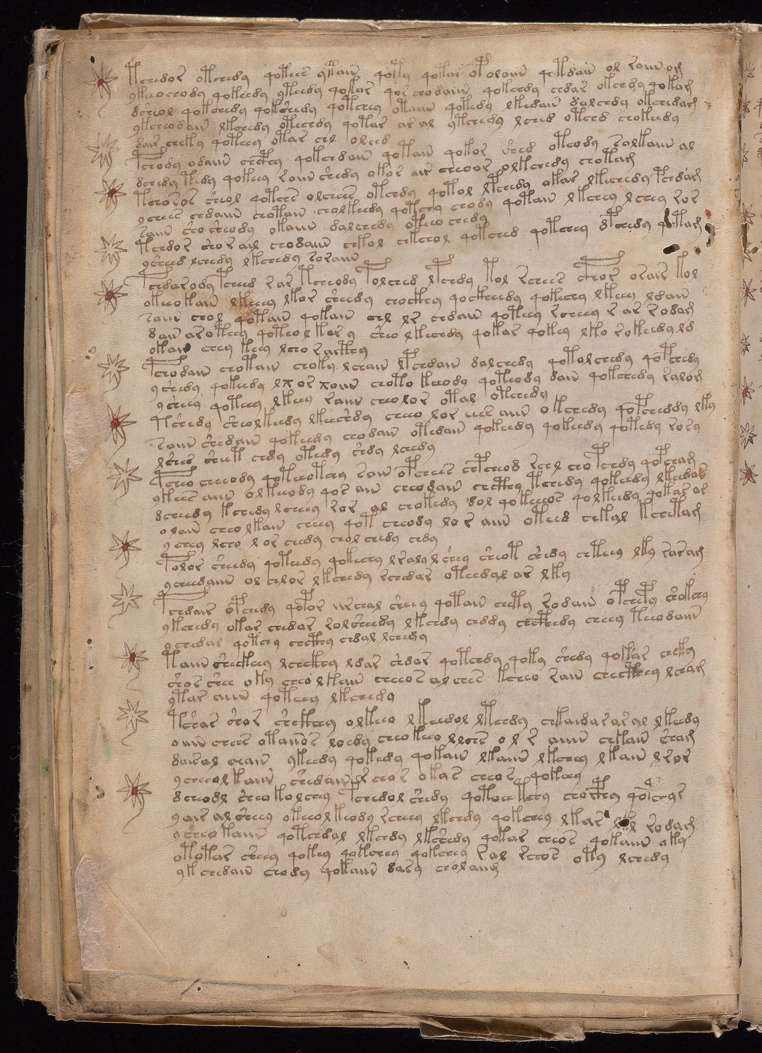 Folio f115v