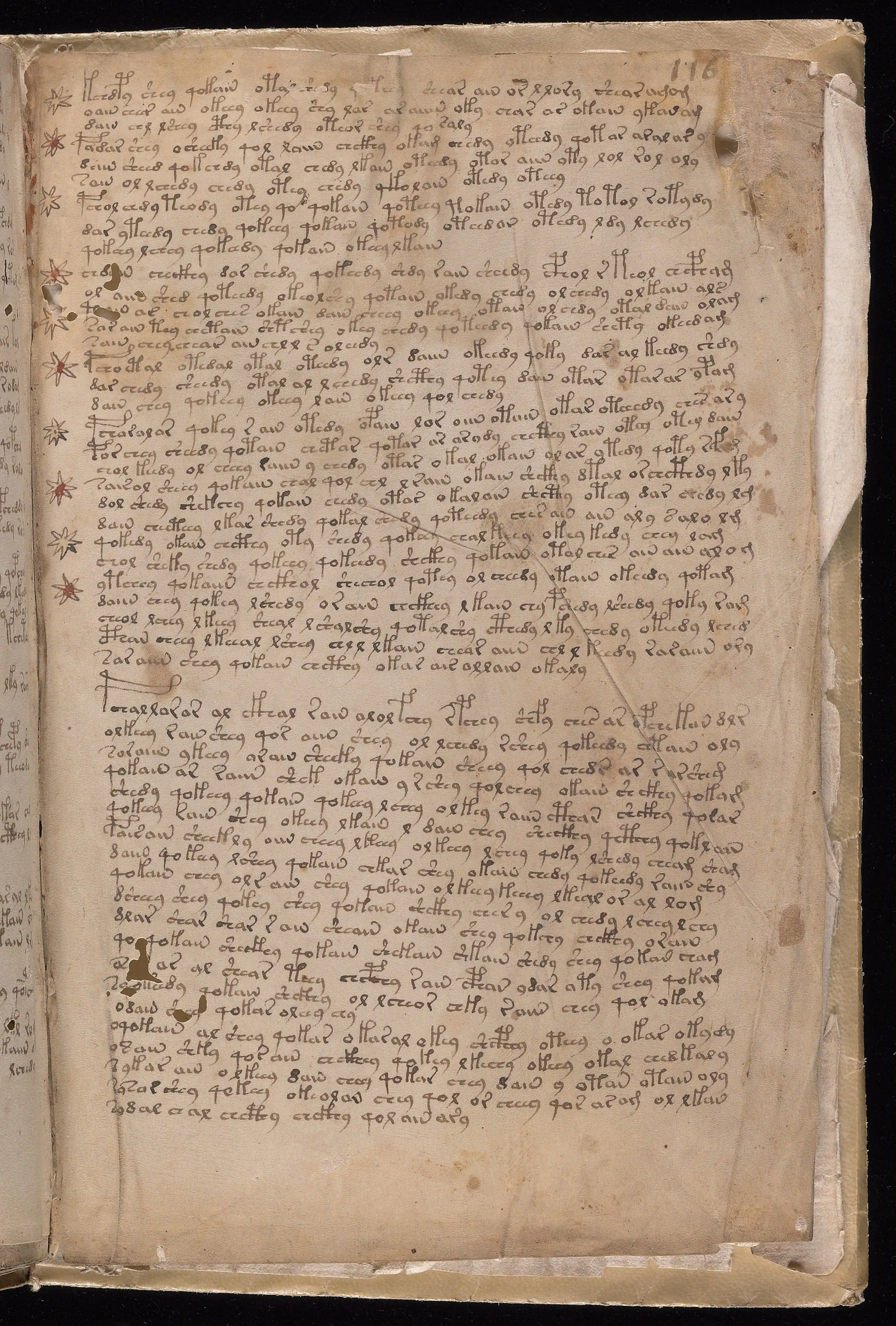 Folio f116r