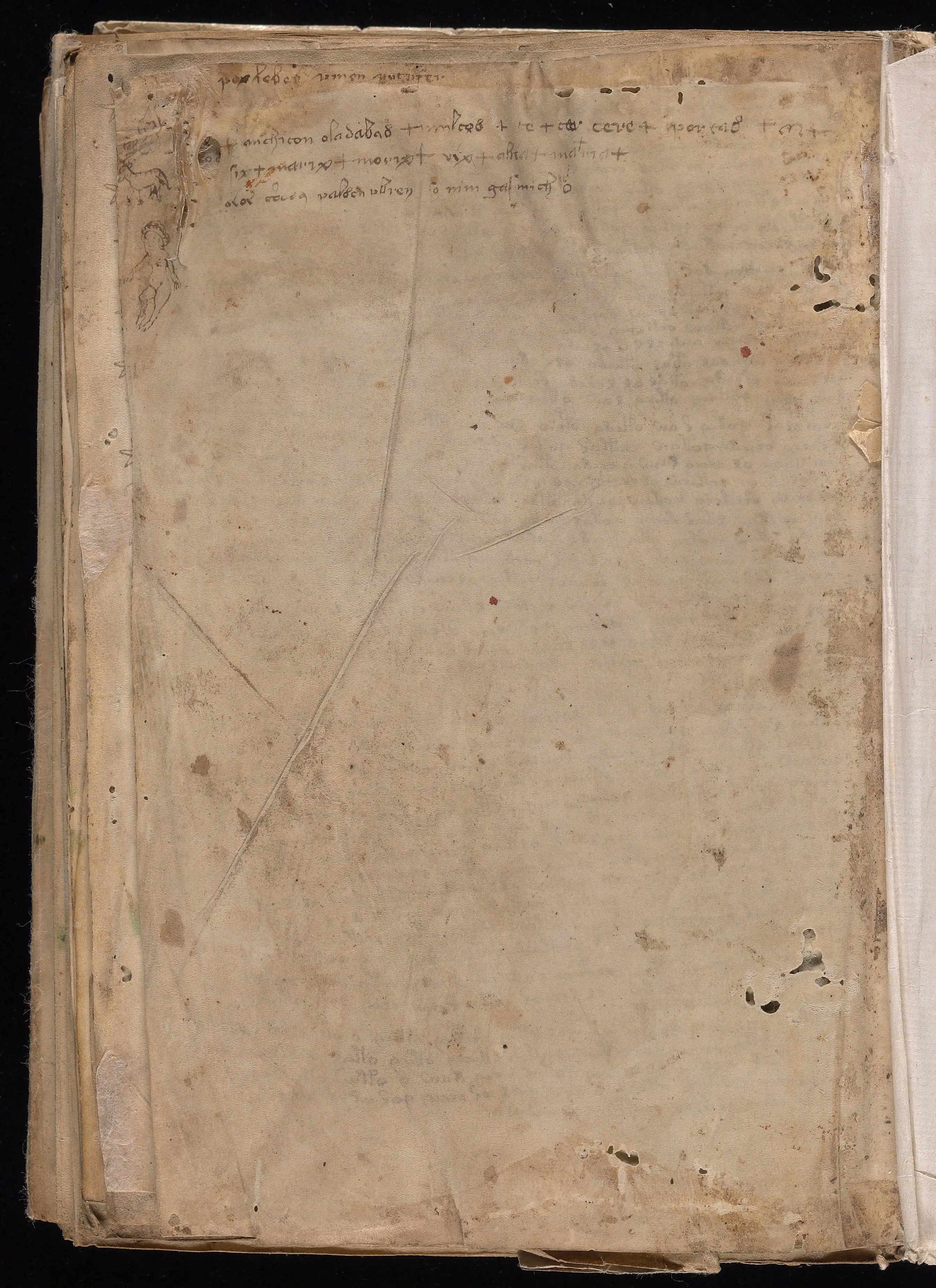 Folio f116v